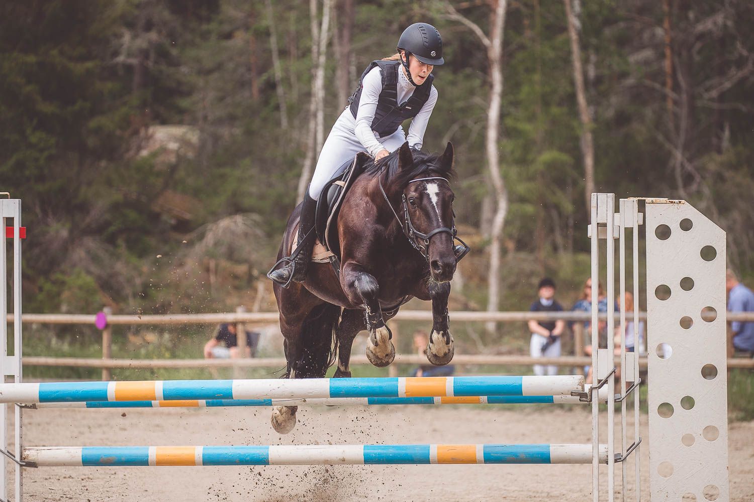 Horse and rider clearing blue and white striped jump poles in outdoor competition.