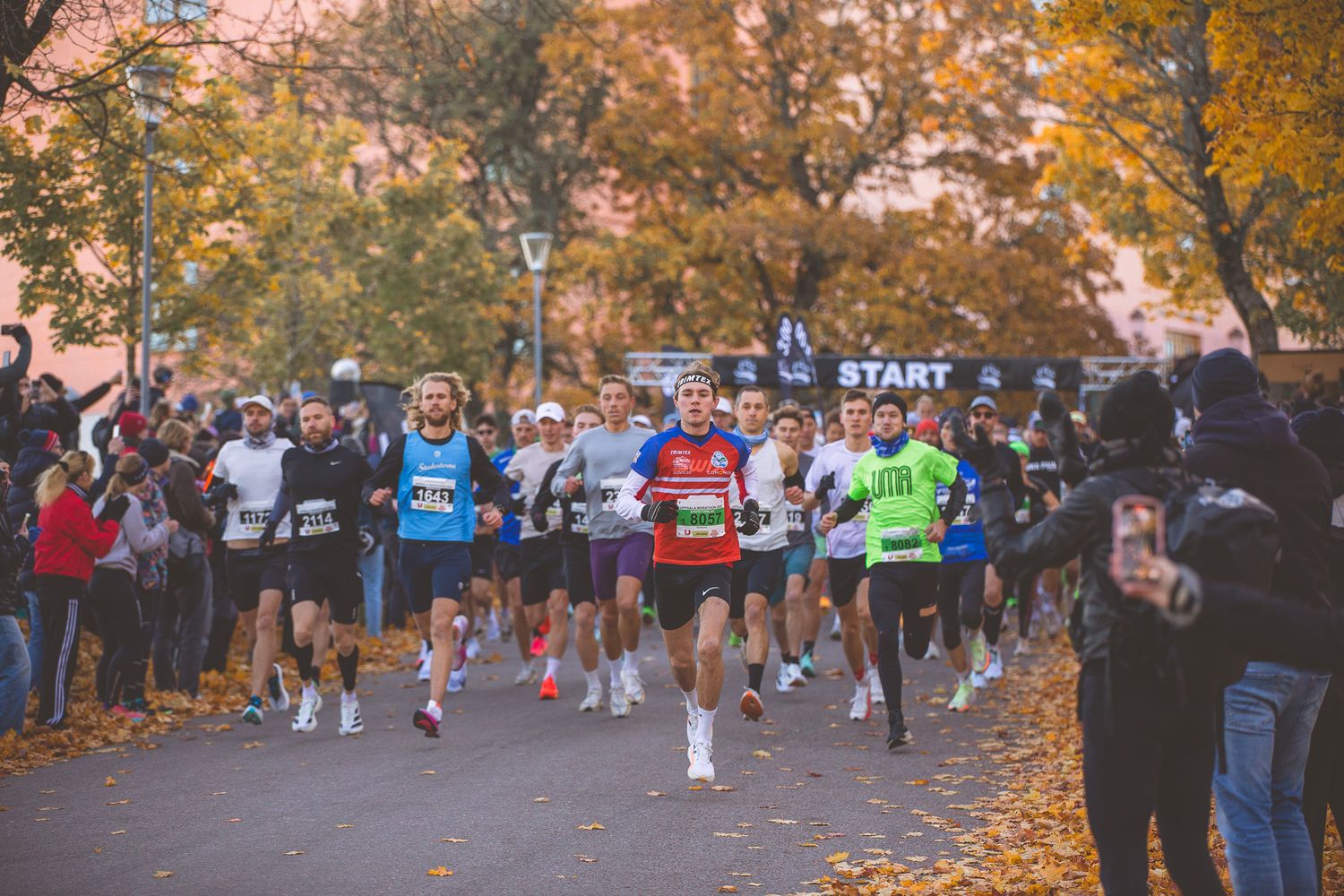 Marathon runners racing through a tree-lined path with autumn foliage.