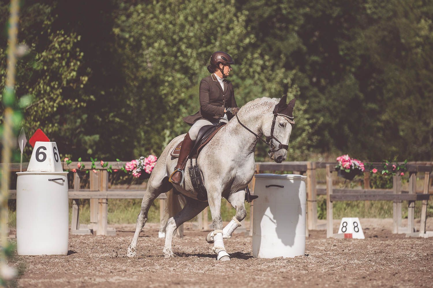 Show jumping sequence with horse and rider navigating white course markers in sandy arena.