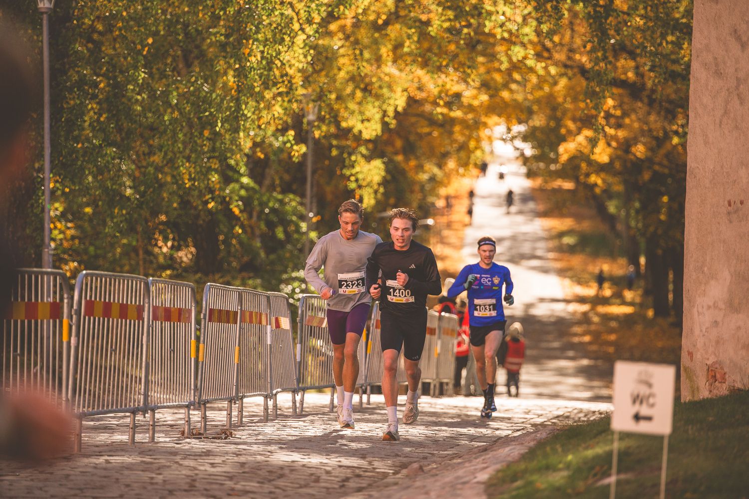 Runners competing on a scenic fall path with golden leaves and trees.