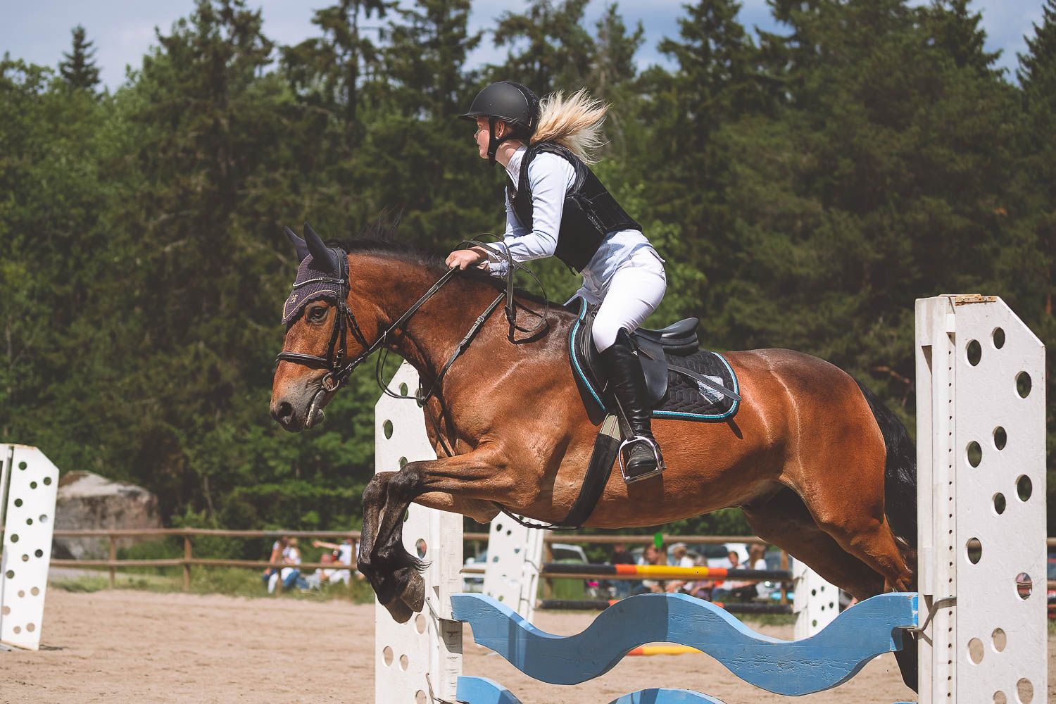 Show jumping competition with horse clearing blue and white obstacles in wooded setting.