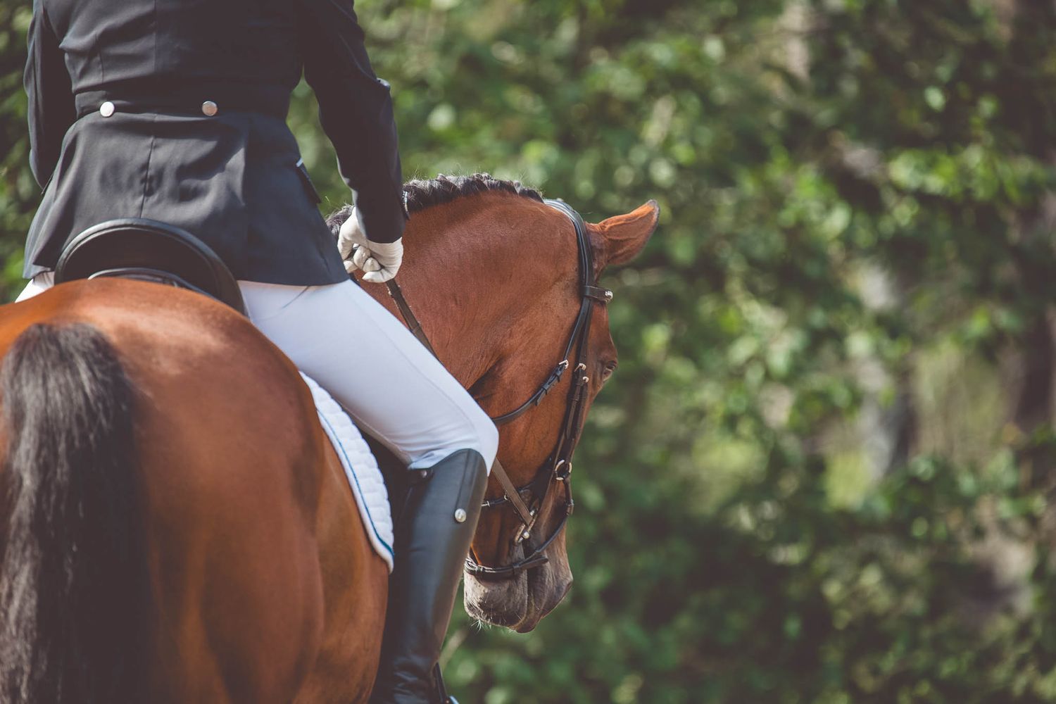 Horse and rider compete in a dressage event at an outdoor arena with colorful decorations.