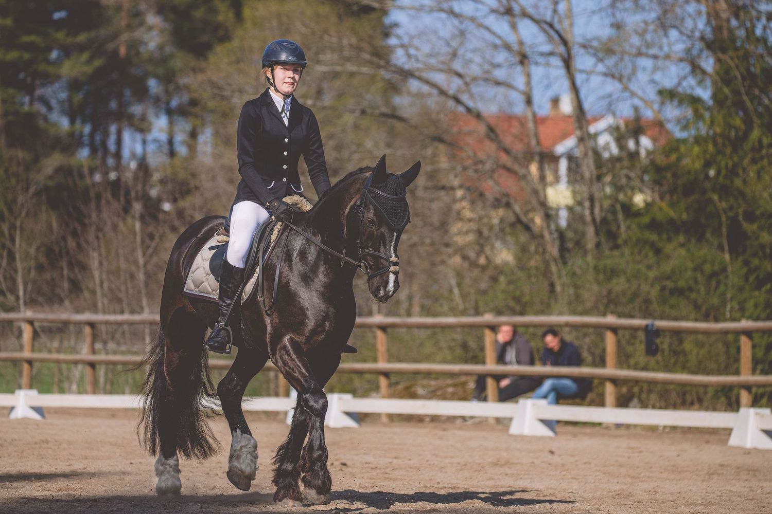 Dark horse approaching a show jumping obstacle in outdoor arena setting.