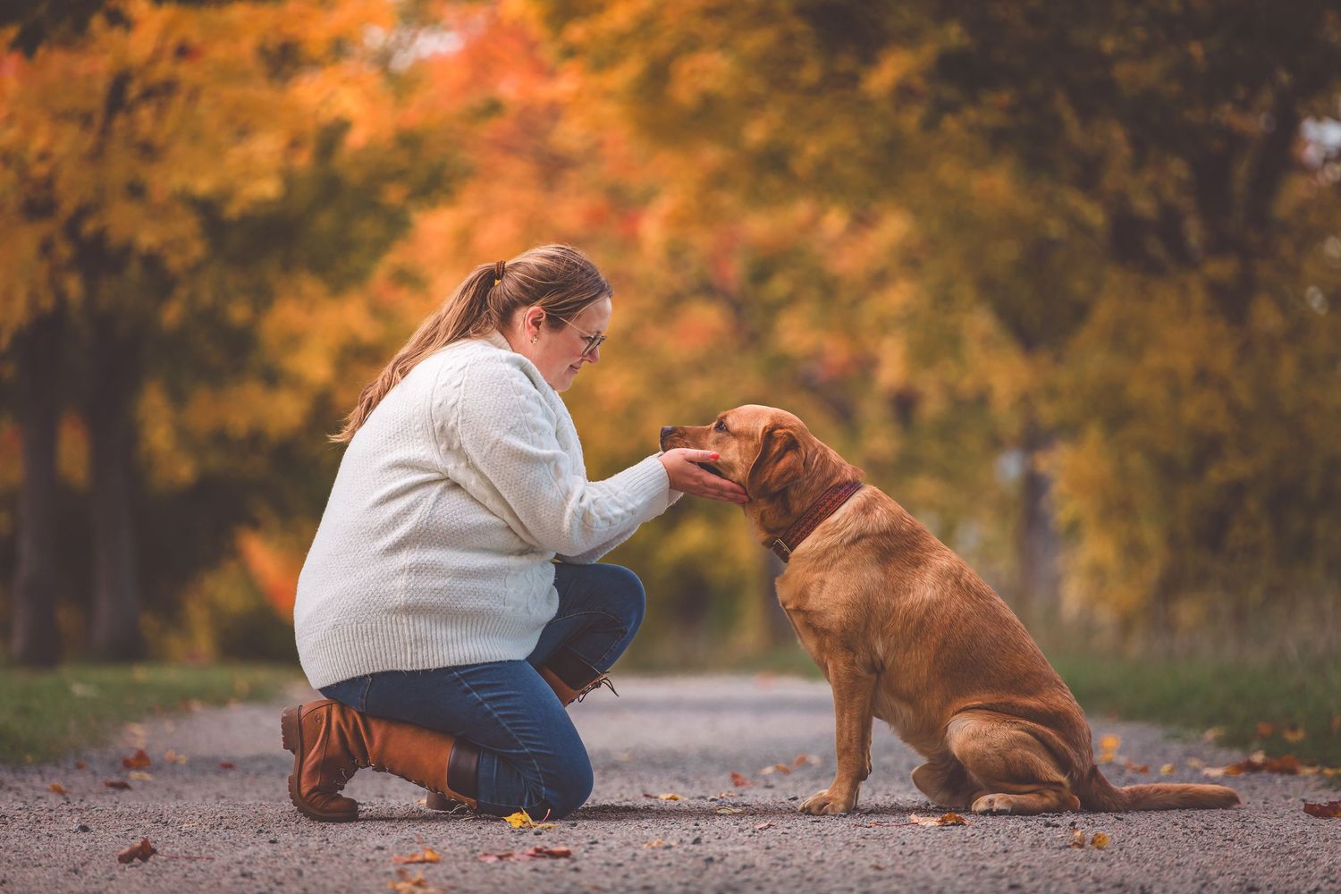 A golden retriever and companion share a tender moment on an autumn path surrounded by orange foliage.