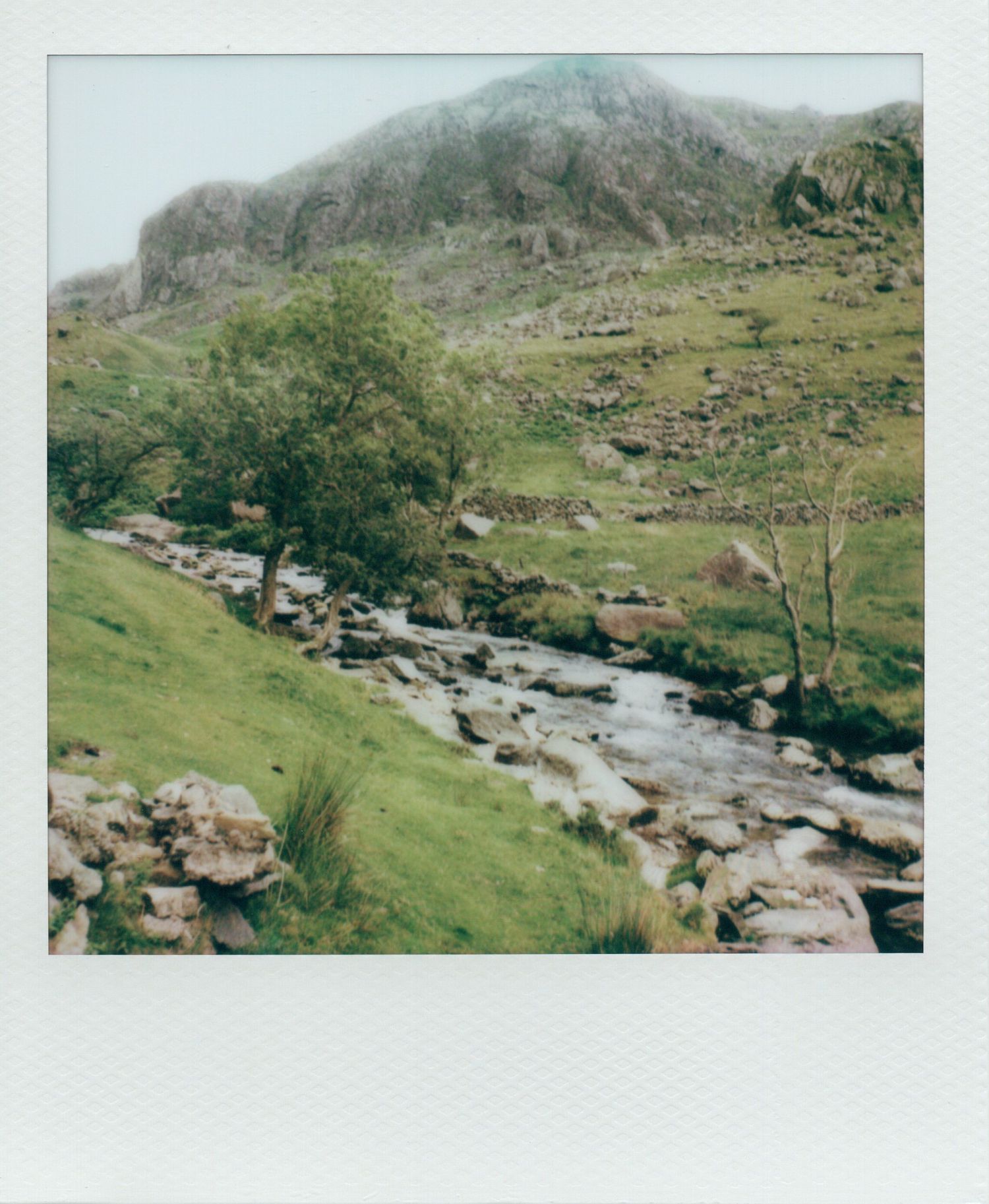 Rocky mountain stream flowing through a lush green valley with trees and misty hills.