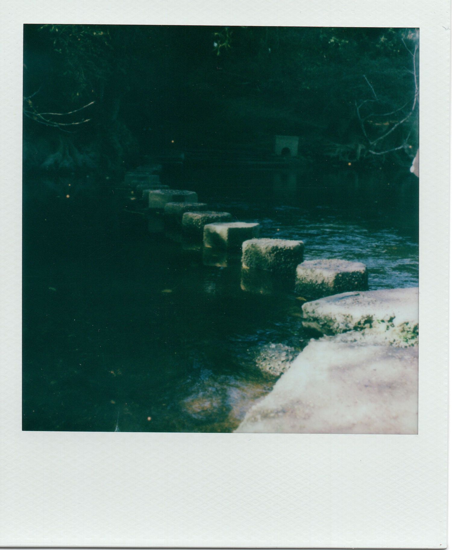 Stepping stones crossing a dark, serene stream surrounded by lush green woodland.