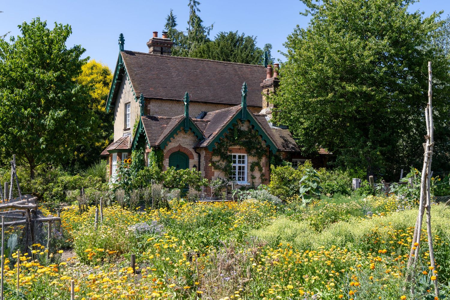 Charming stone cottage surrounded by a lush wildflower garden with yellow blooms and tall green trees on a sunny day.