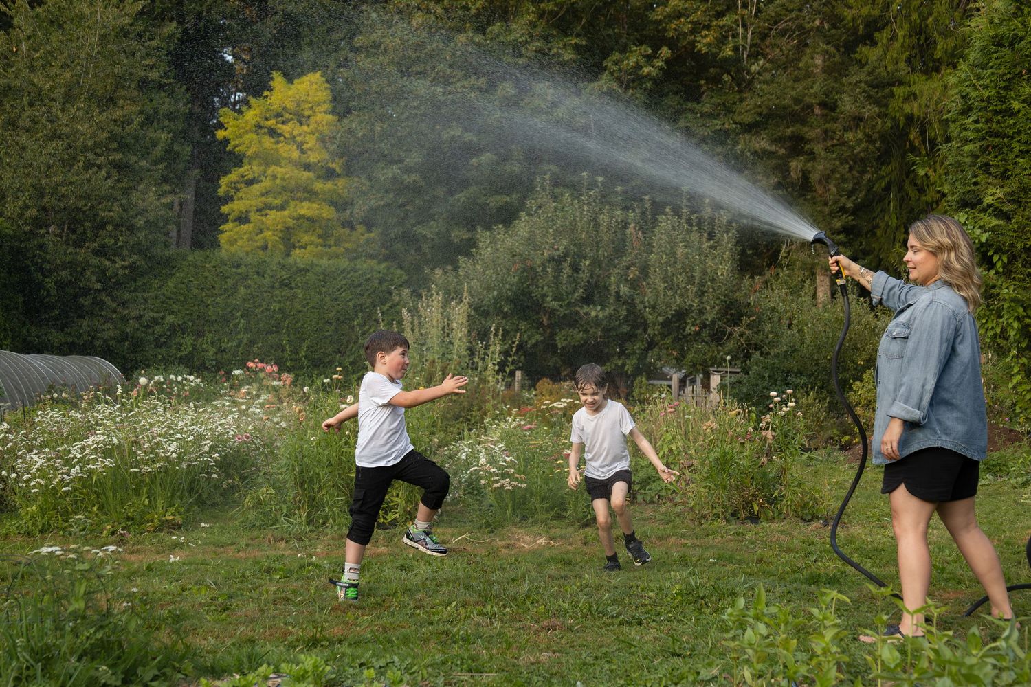 Two young boys run and play in the spray from a garden hose that their mom is holding.