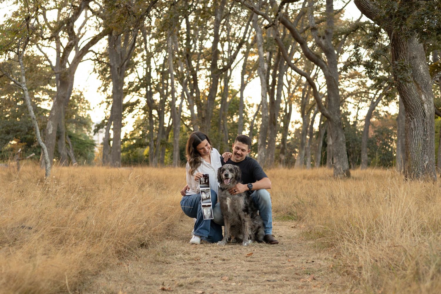 A couple crouches down beside their dog while holding a sonogram to announce their pregnancy.