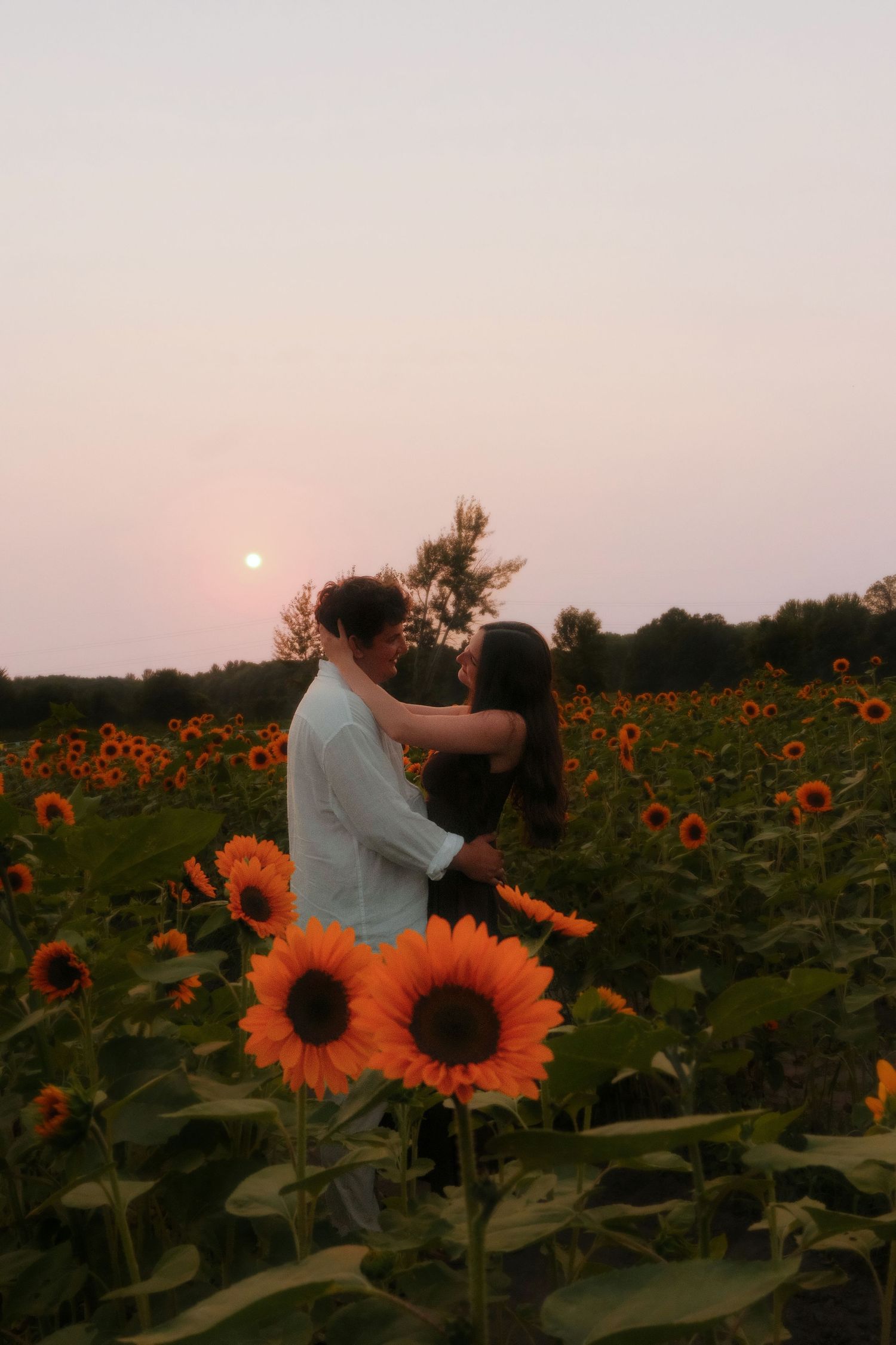 Romantic couple embracing in a vibrant sunflower field during a beautiful pink sunset.