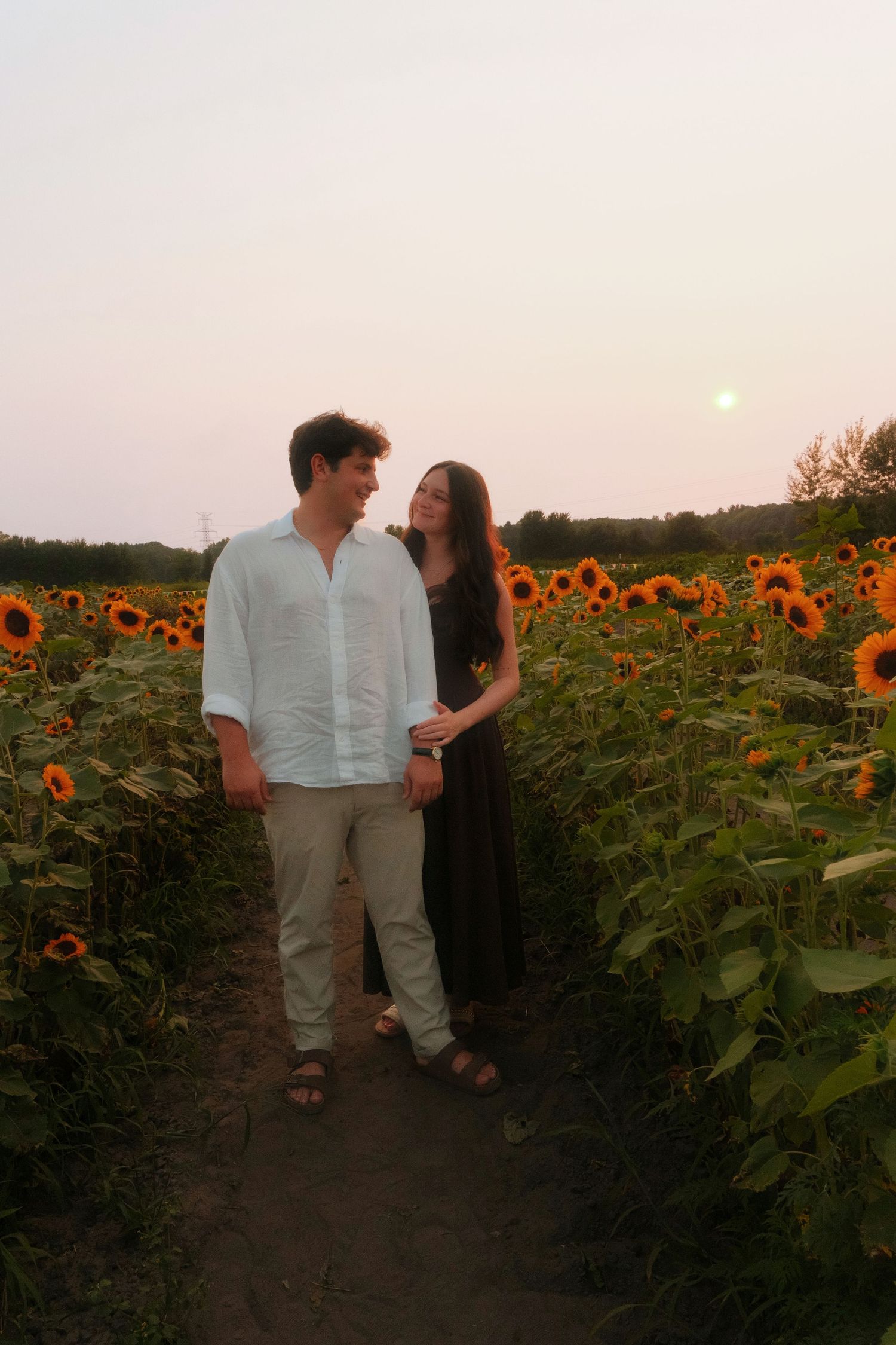 Romantic couple holding hands walking through vibrant sunflower field at dusk with full moon.