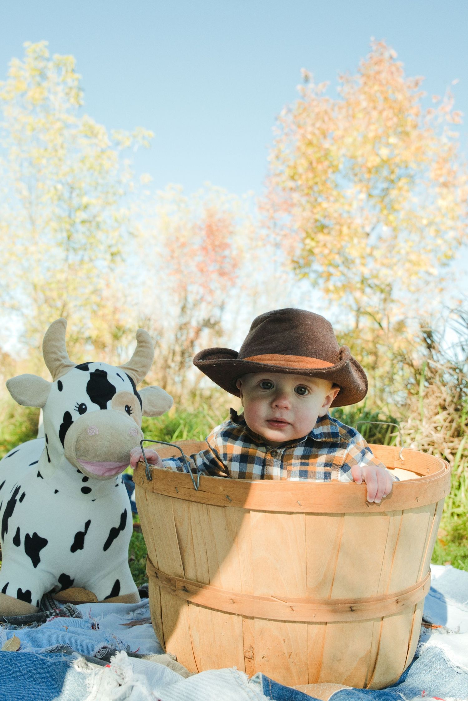 Baby in a brown cowboy hat and plaid shirt sits in a wooden basket beside a stuffed cow toy on a blanket with autumn trees behind.