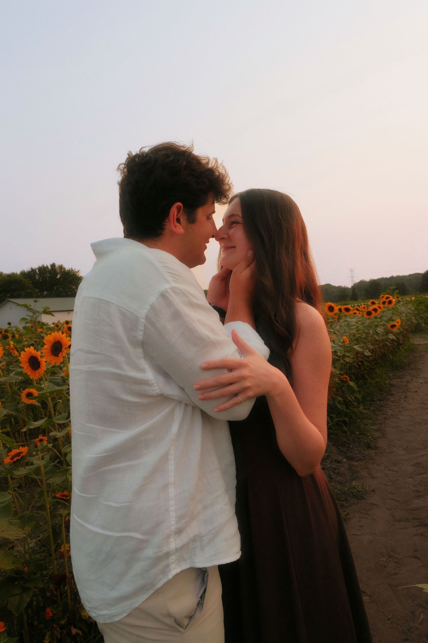 Romantic couple holding each other close in a golden sunflower field at dusk.