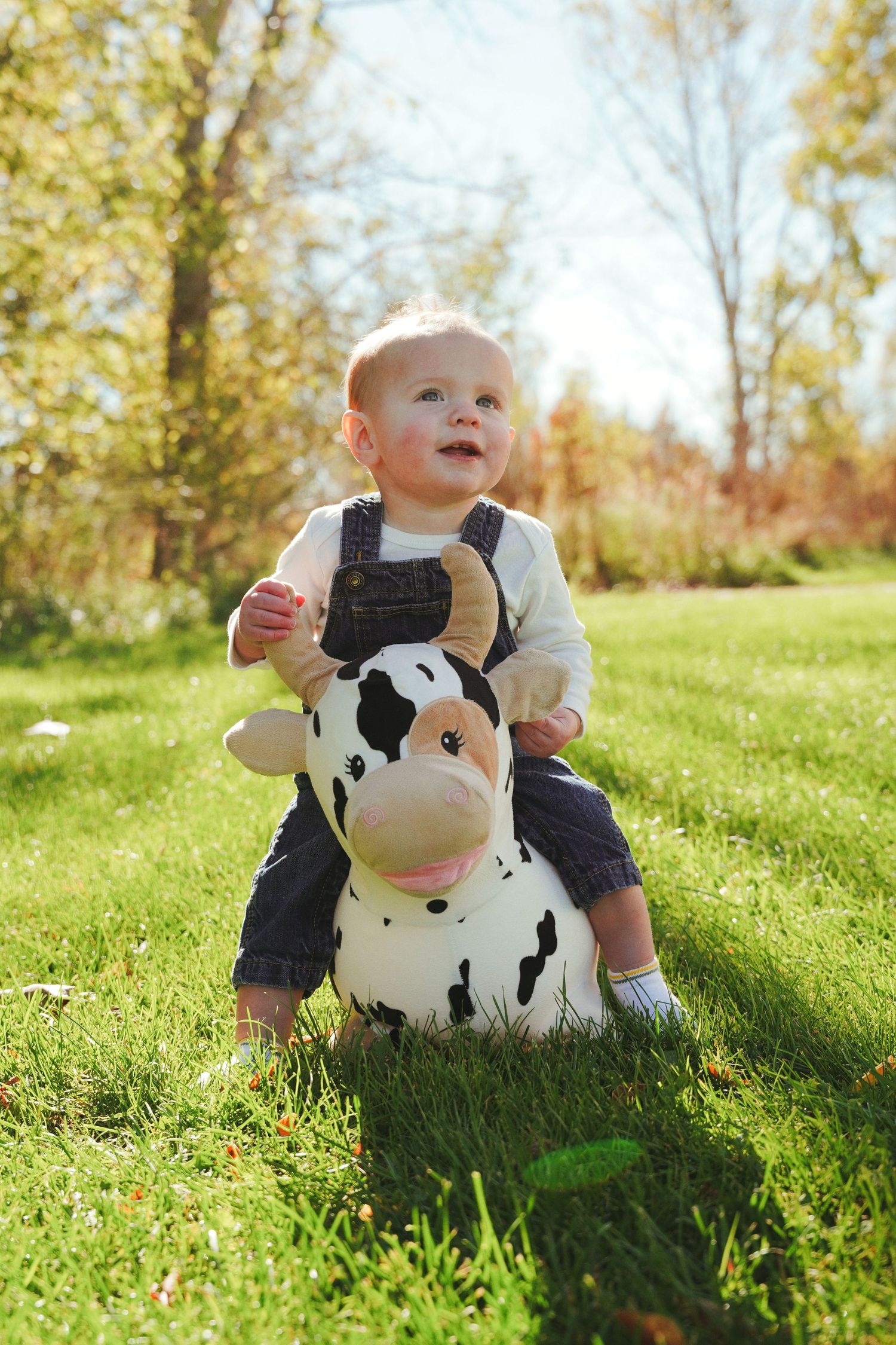 Smiling baby in overalls rides a black and white cow bouncy toy on a sunny grassy lawn with autumn trees behind.