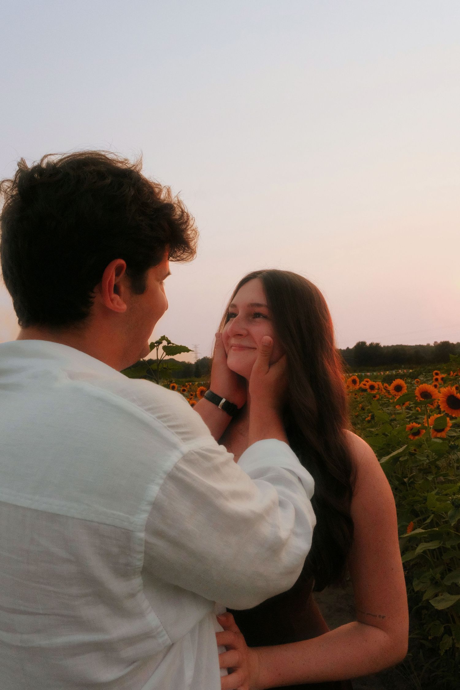 Young man tenderly cupping womans face in a sunflower field at dusk.