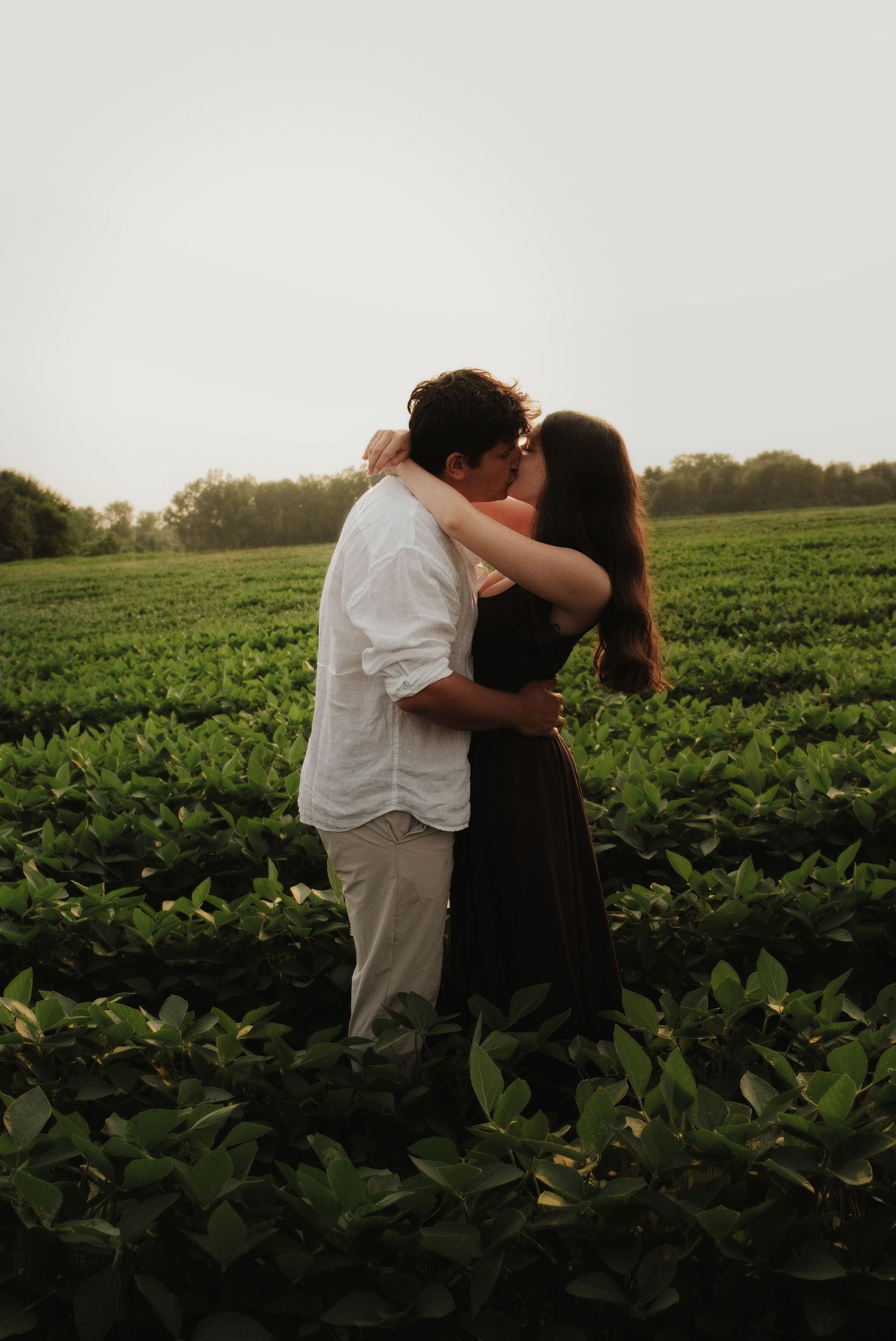 A couple shares a romantic kiss while standing in a green crop field during a beautiful sunset.