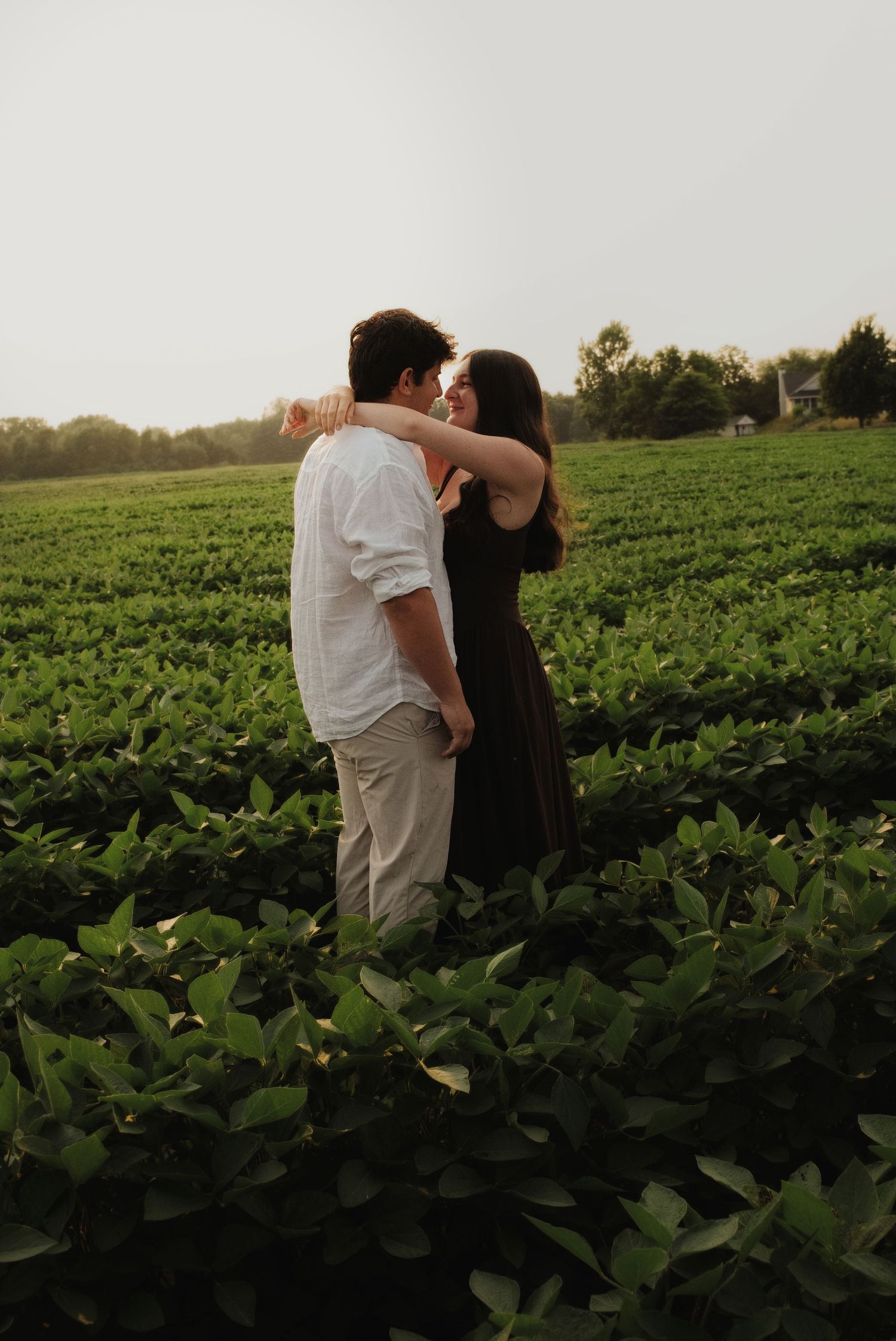 Couple embracing closely in expansive green crop field during warm golden hour sunset.