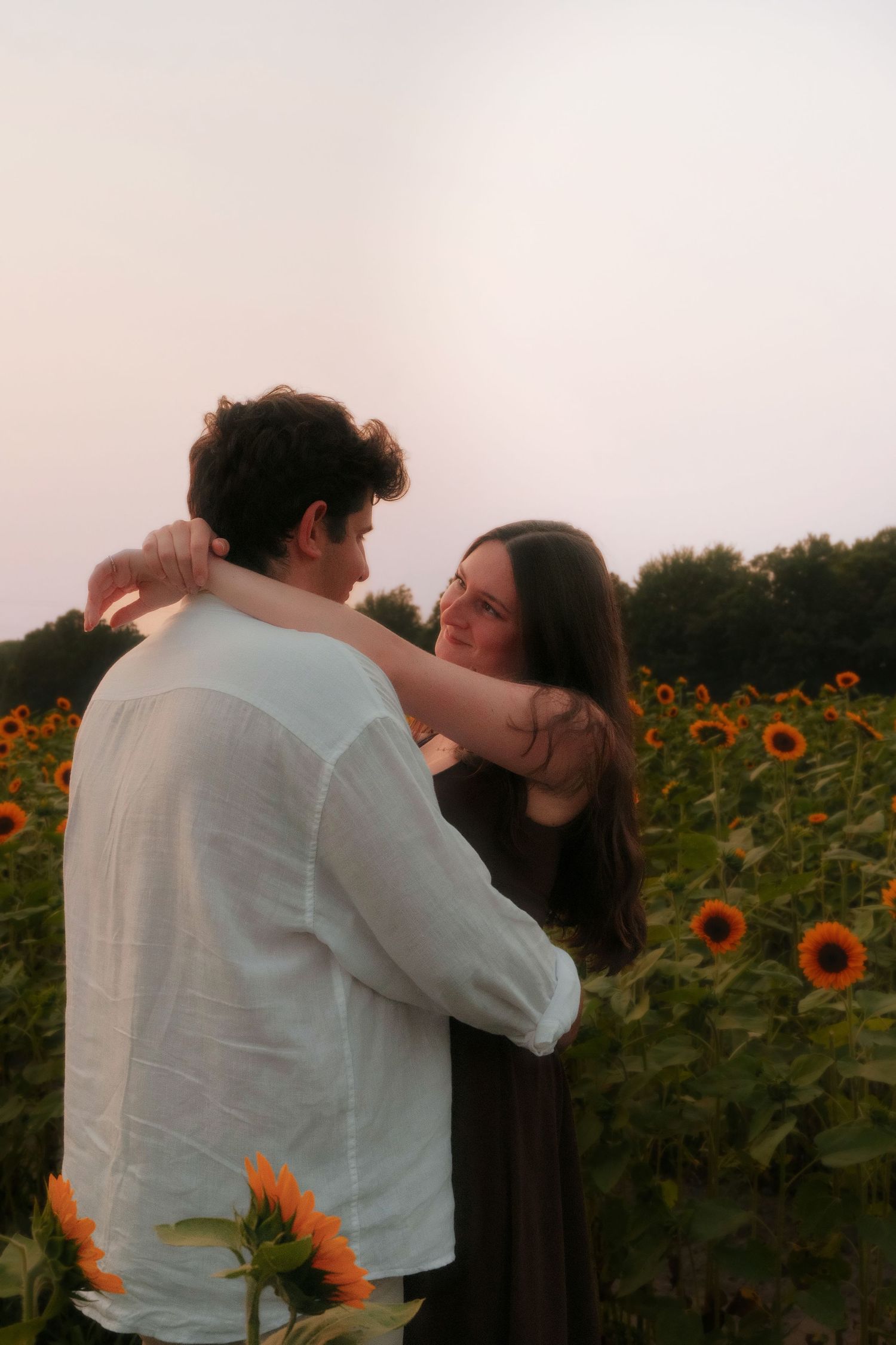 Couple embracing in a sunflower field at sunset, woman with dark hair smiling at man in white linen shirt.