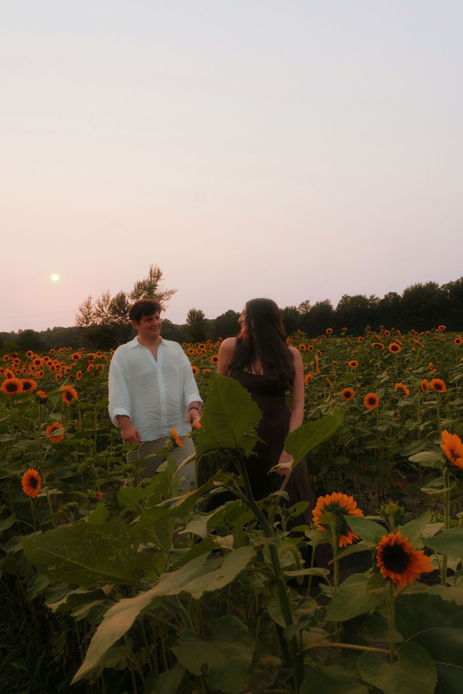 Couple walking through a sunflower field at twilight with a full moon glowing in the sky.