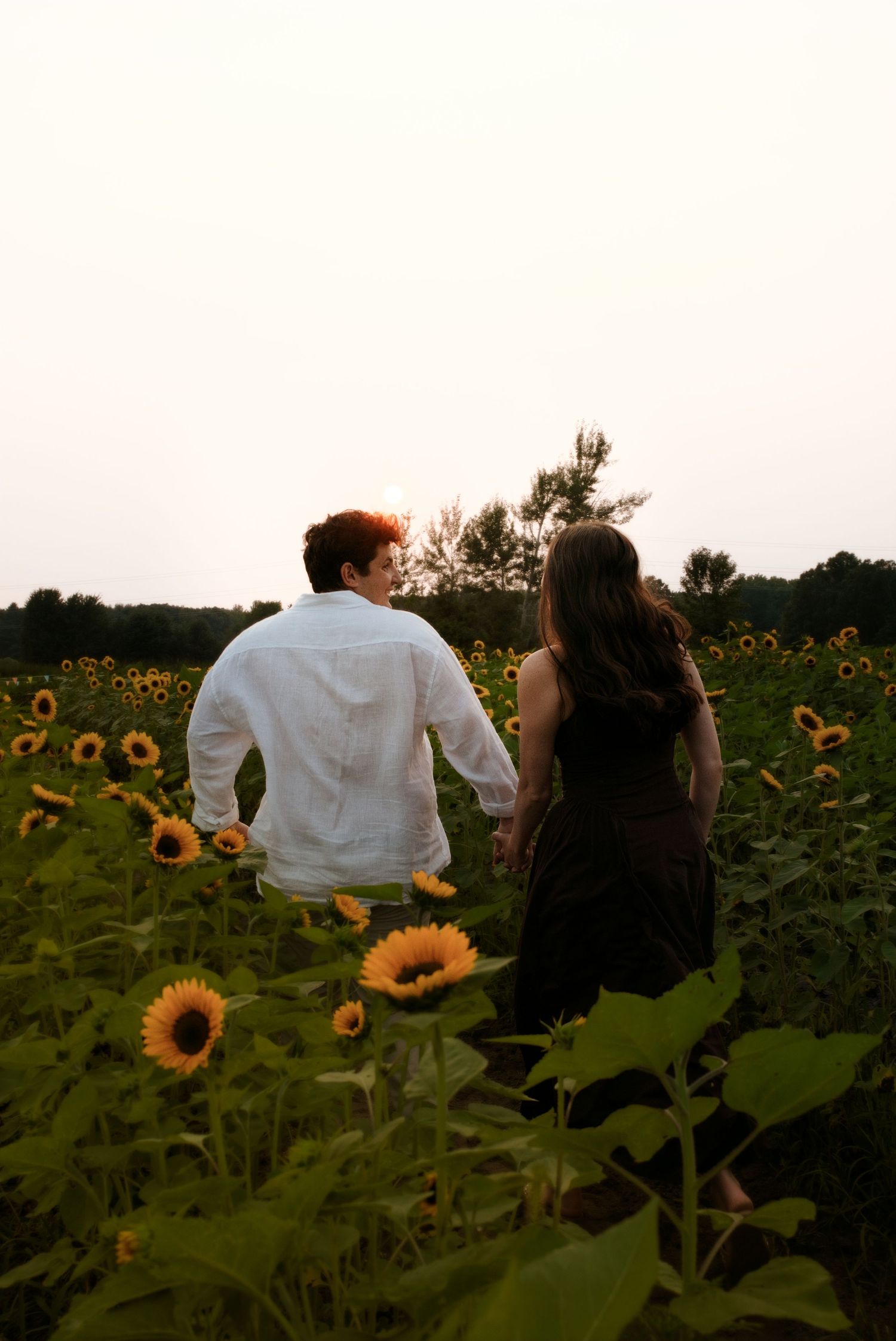 A couple holds hands while walking through a vibrant sunflower field at sunset, viewed from behind.