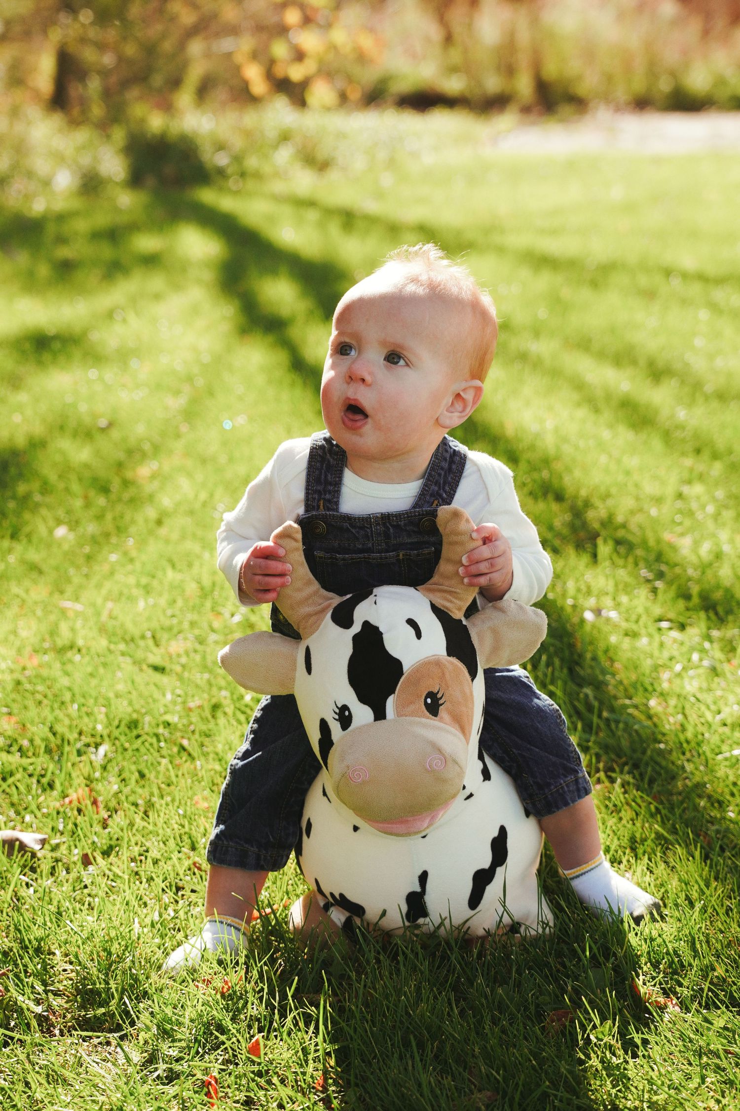Baby in denim overalls and white socks sits on a spotted cow ride-on toy on sunlit green grass outdoors.