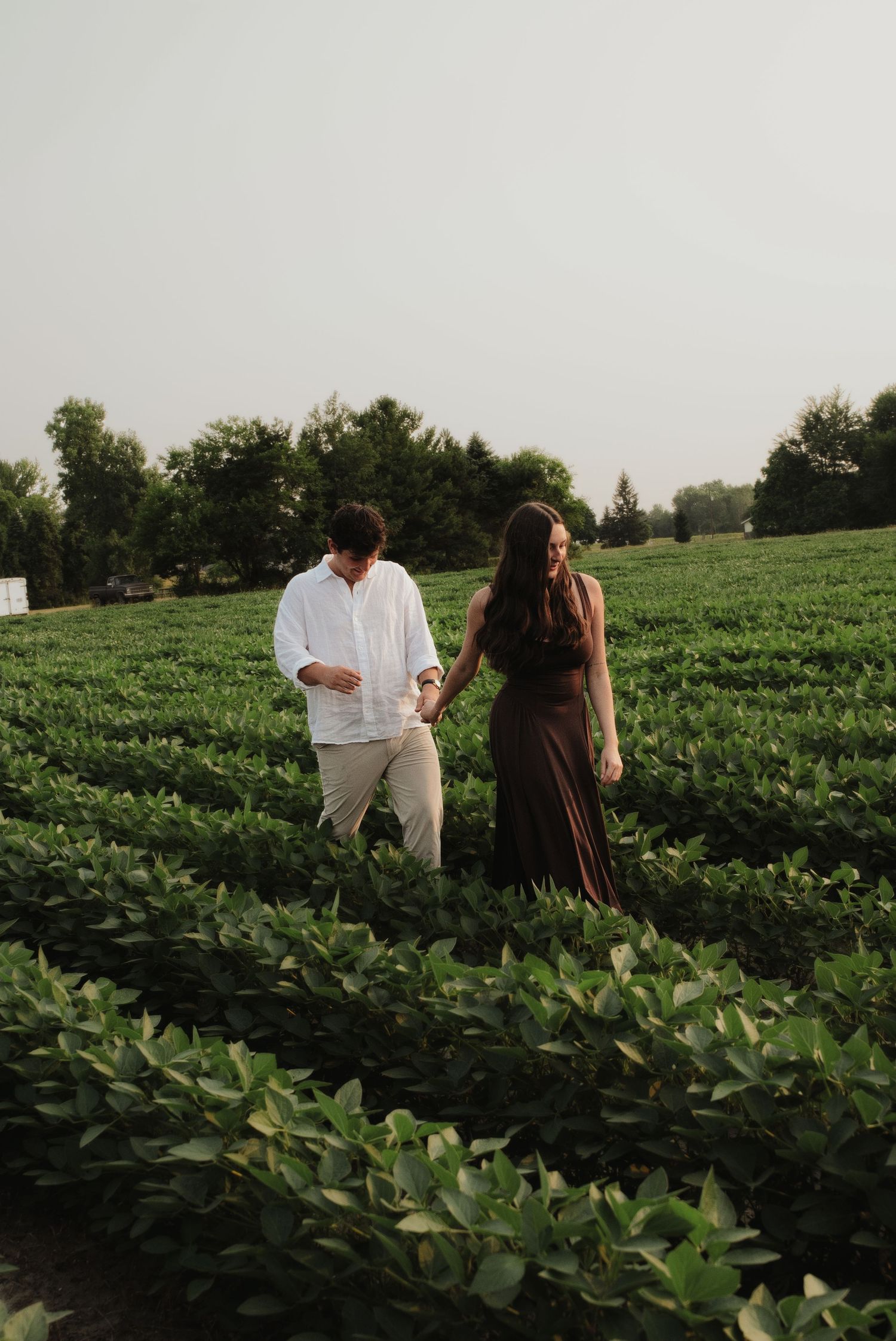 Couple walking hand in hand through rows of green crops at golden hour.