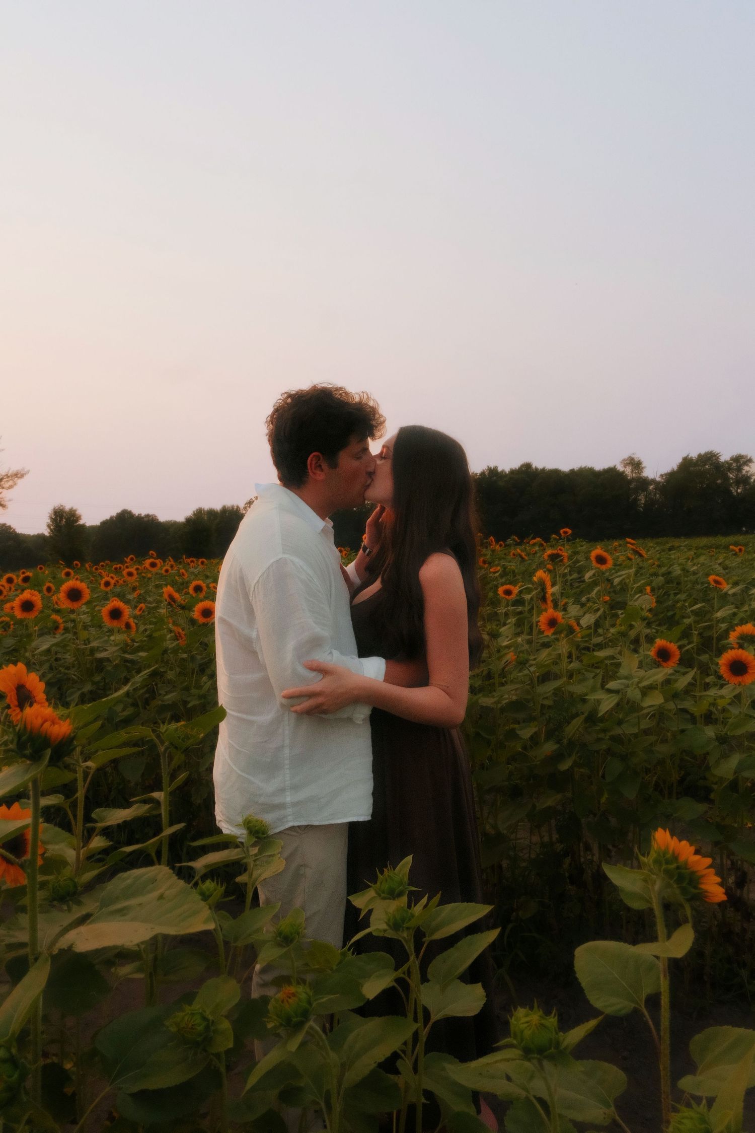 Couple sharing a tender kiss surrounded by blooming sunflowers at dusk.