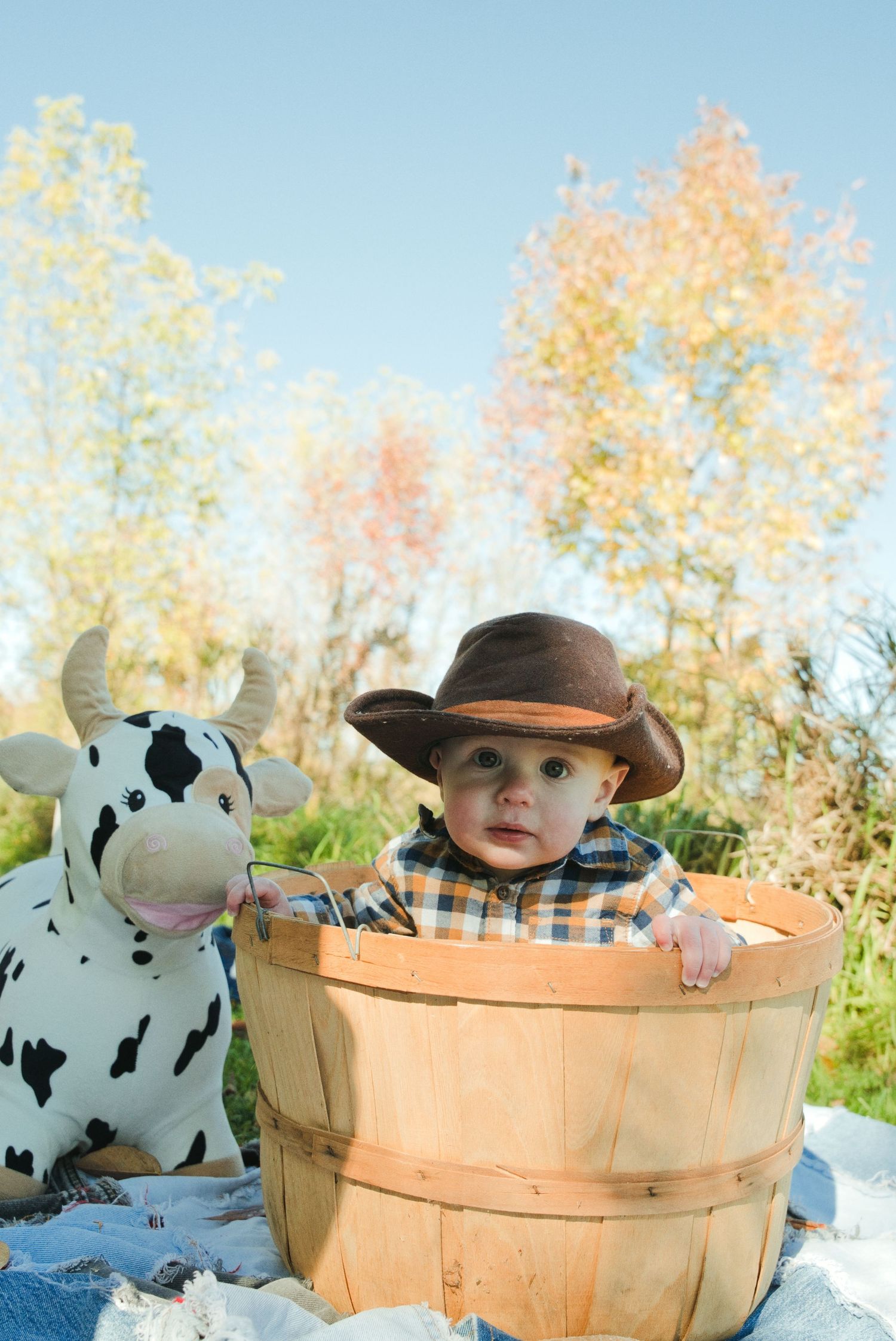 Baby in a brown cowboy hat and plaid shirt sits in a wooden bushel basket beside a stuffed toy cow in an autumn field.
