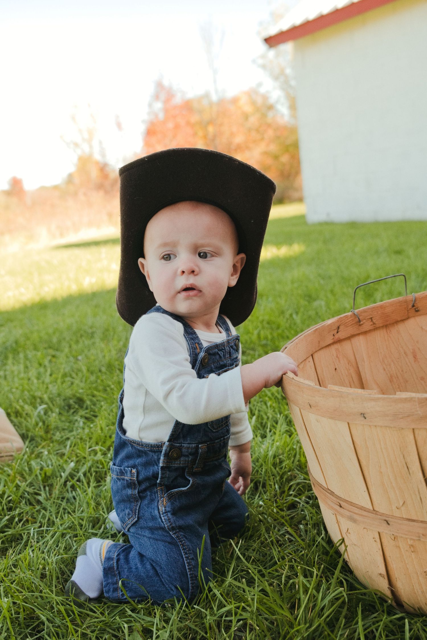Baby in denim overalls and an oversized black cowboy hat kneels on green grass beside a wooden harvest basket on a sunny autumn day.