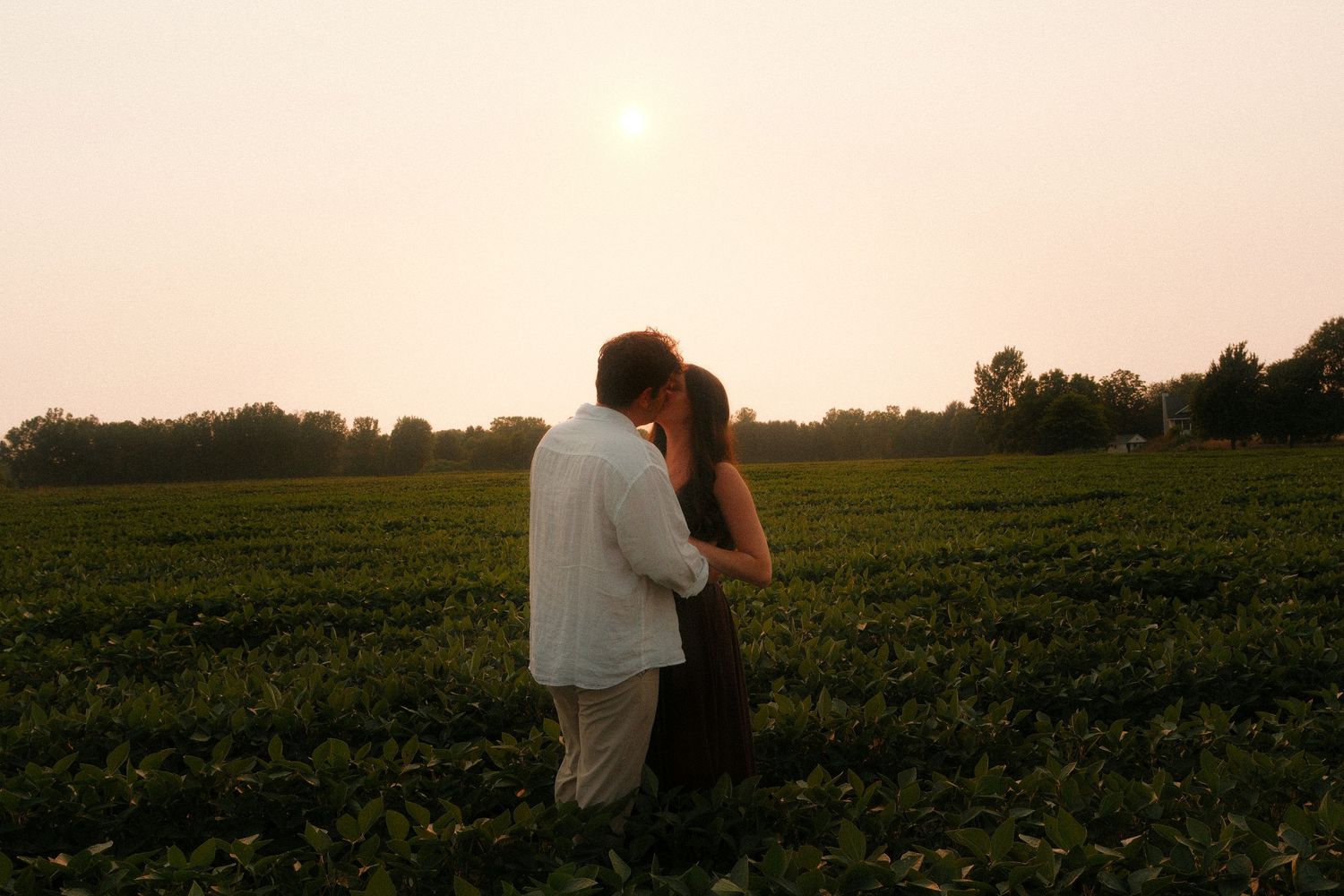 Couple sharing a romantic kiss in a lush green field at sunset with trees in the background.