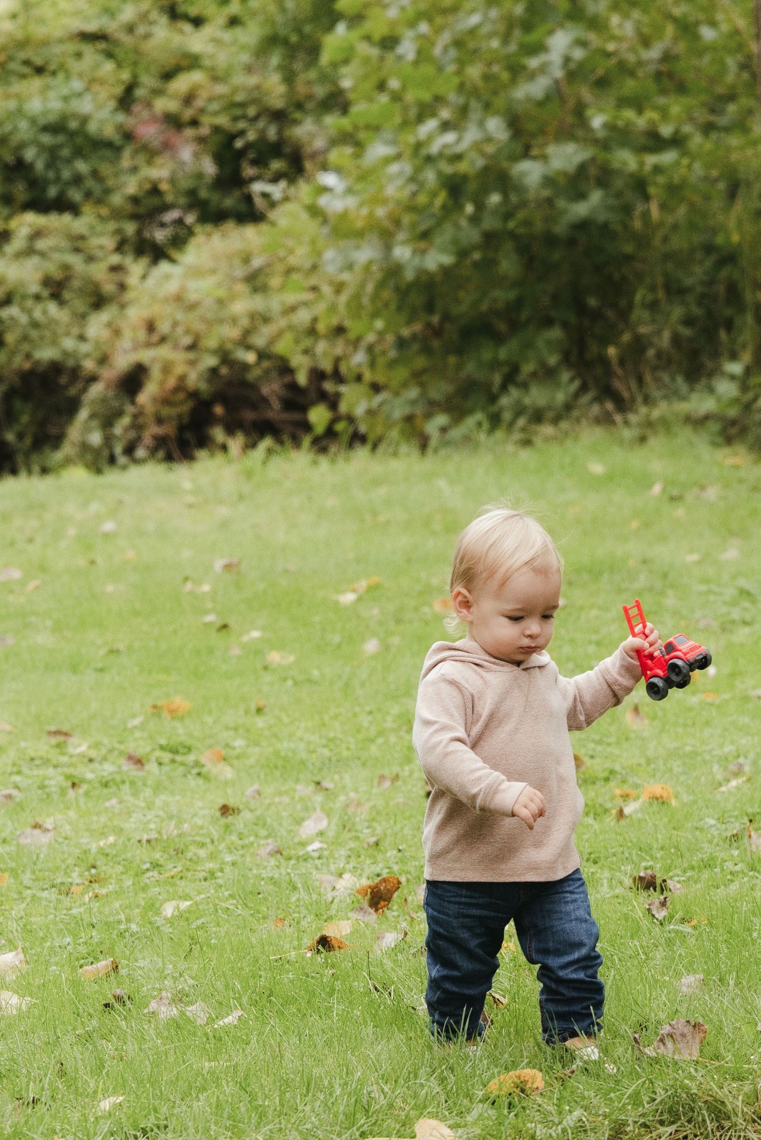 Toddler in a beige hoodie and jeans stands on a grassy lawn scattered with autumn leaves, holding a small red toy vehicle.