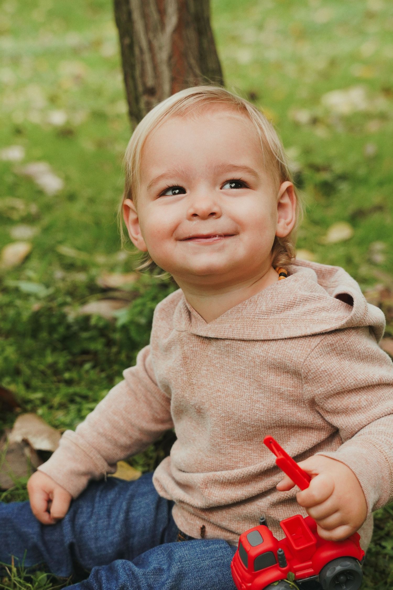 Smiling blond toddler in a beige hooded sweater and jeans sits on the grass by a tree, holding a red toy fire truck.