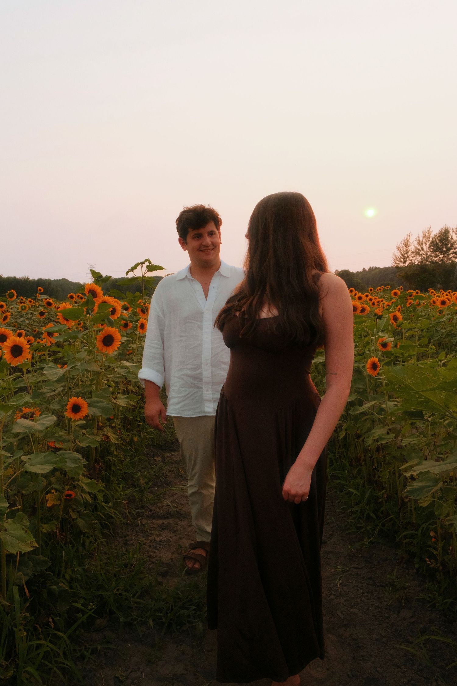 Couple sharing a tender moment on a path through a blooming sunflower field at sunset.