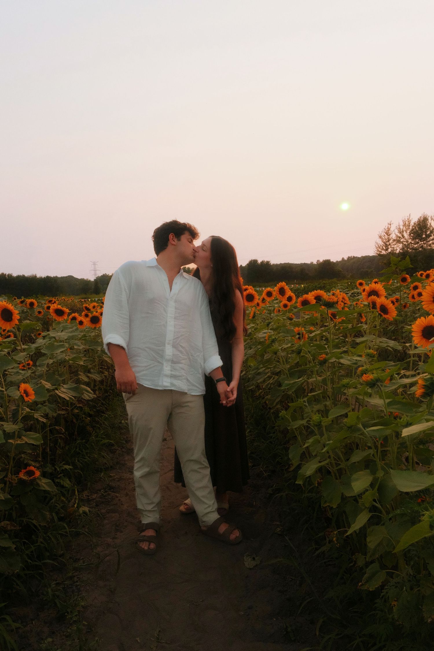 Couple sharing a kiss in a vibrant sunflower field under a glowing pink sunset sky.
