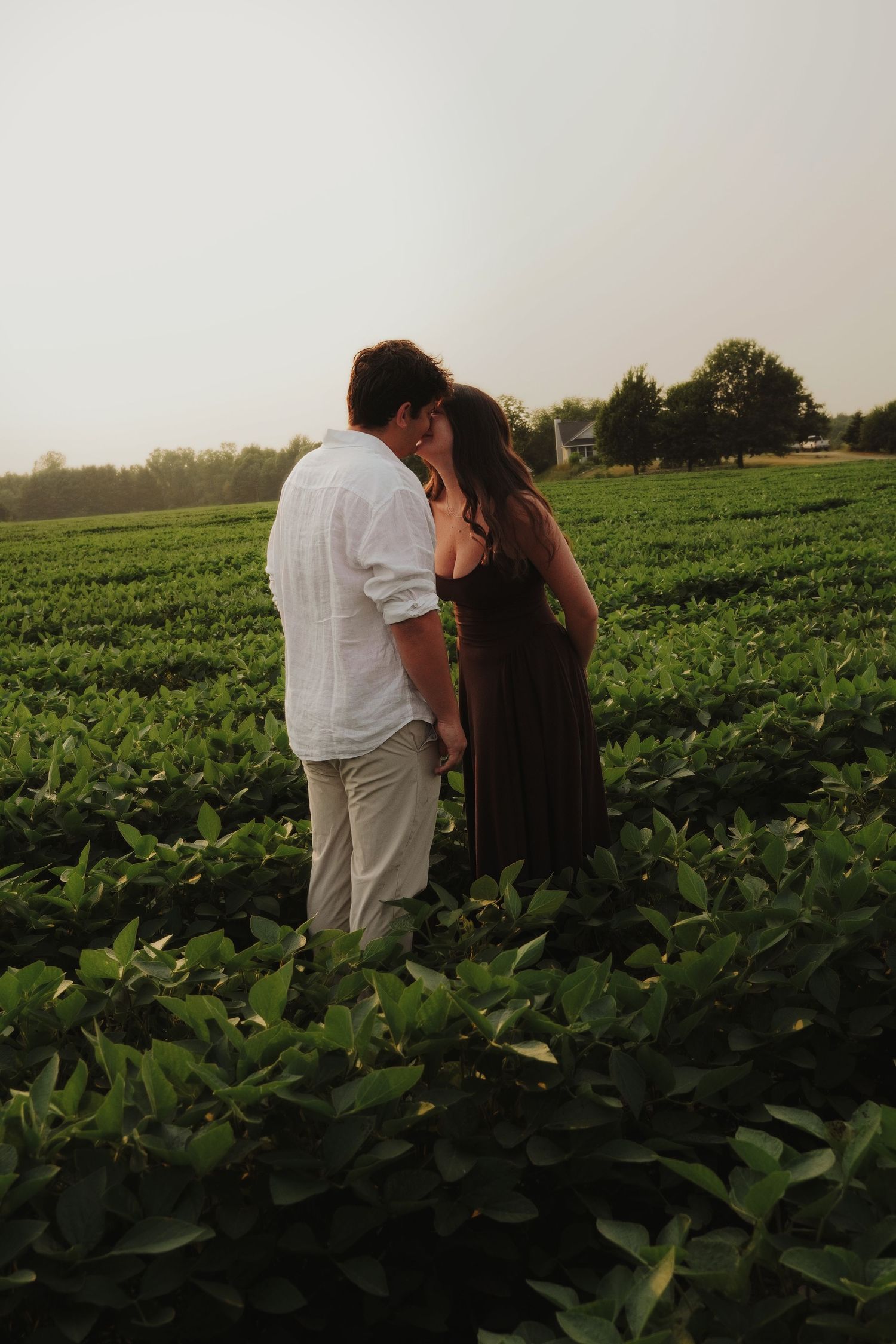 Couple sharing an intimate moment together in a green crop field at sunset.