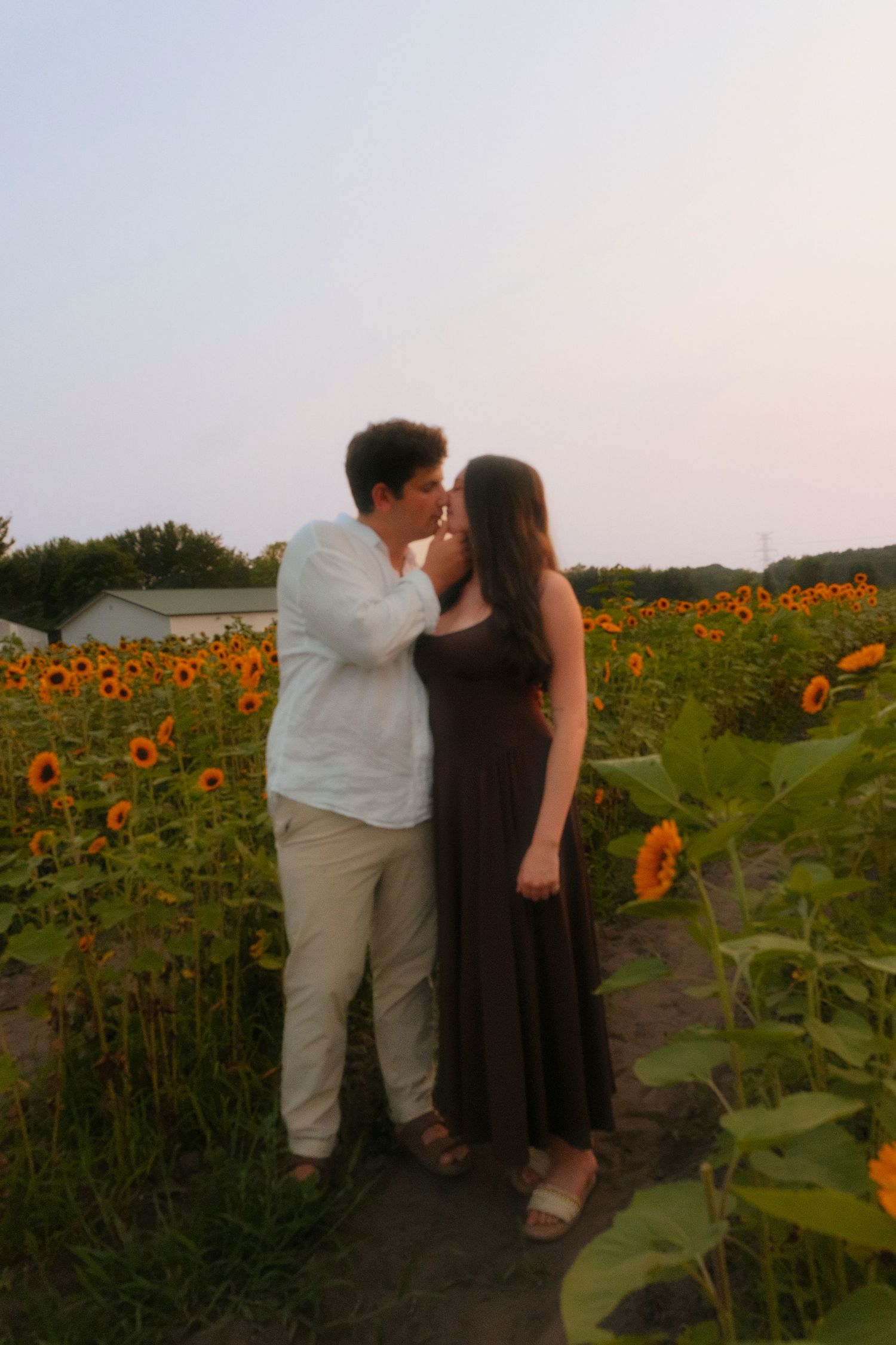 Couple sharing a tender kiss in a vibrant sunflower field at twilight.