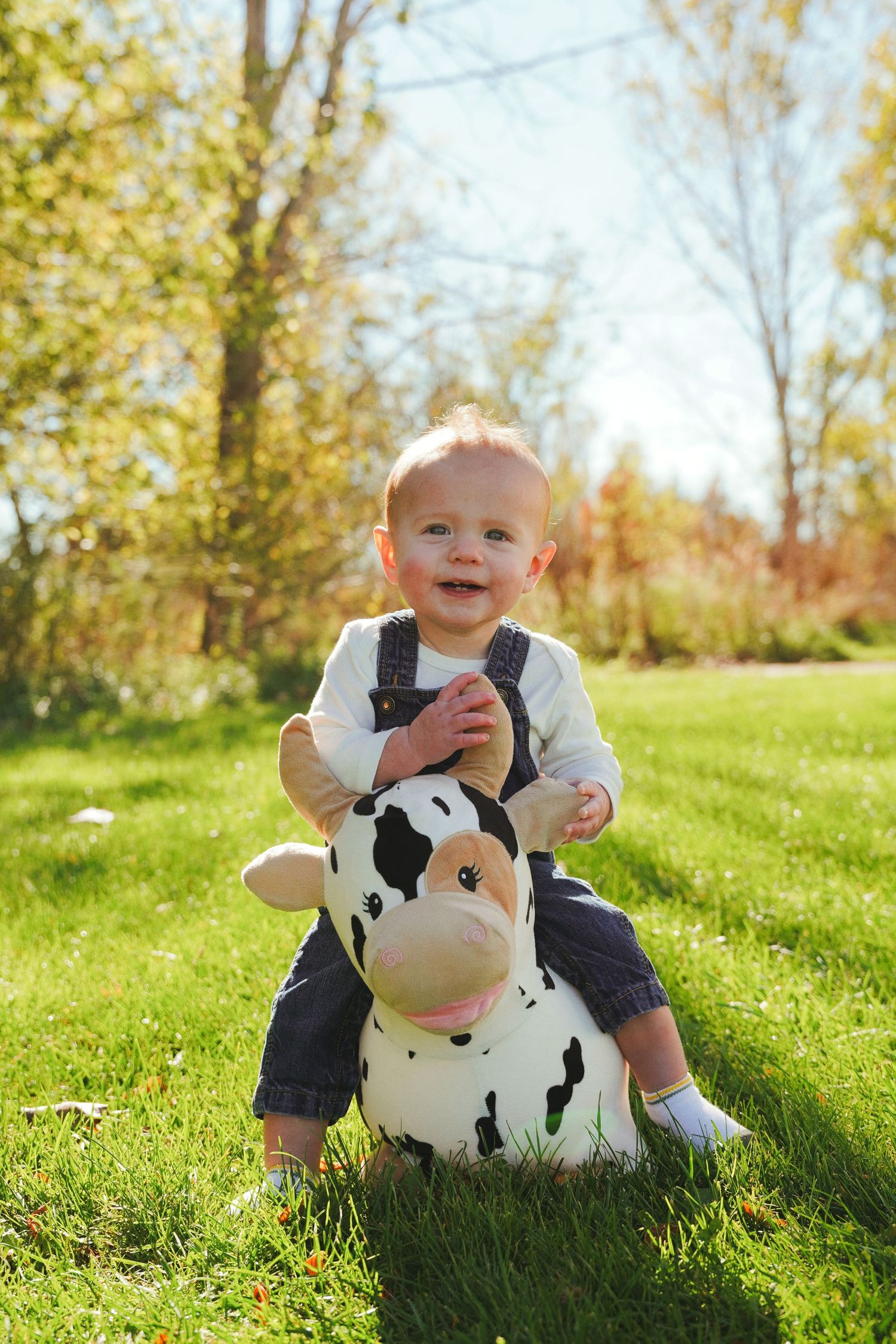 Smiling baby in denim overalls rides a plush black and white cow bouncer on a sunny grassy lawn with autumn trees behind.