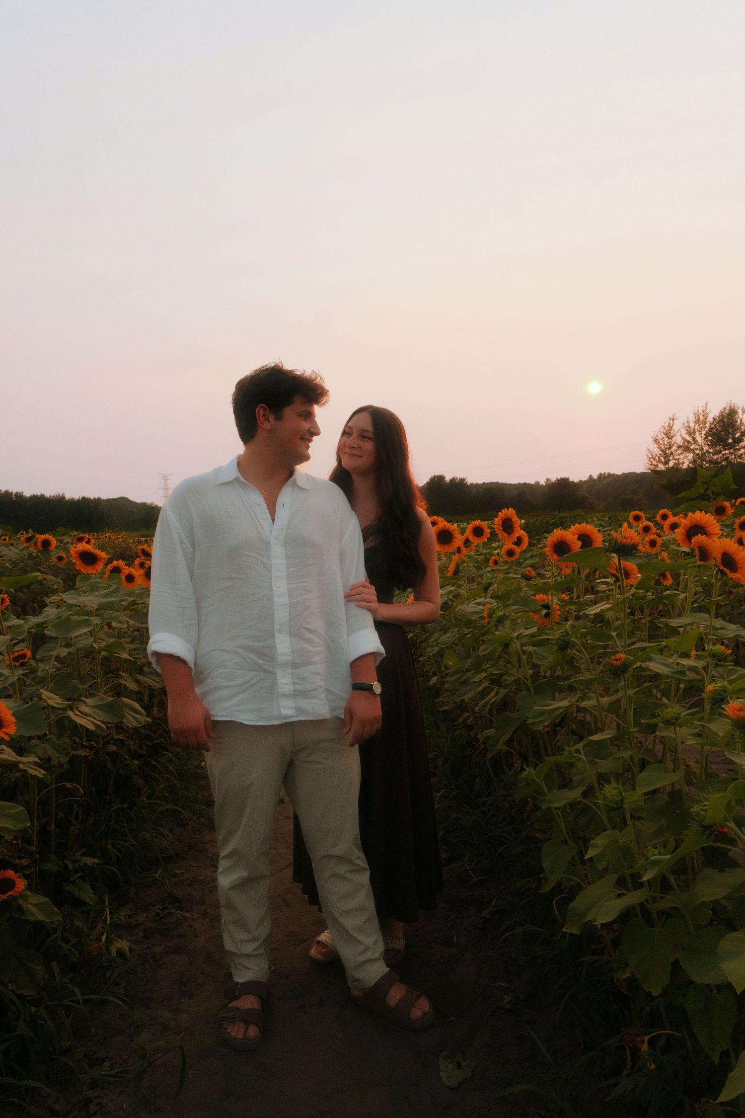 Couple embracing in a vibrant sunflower field during a romantic pink and orange sunset.