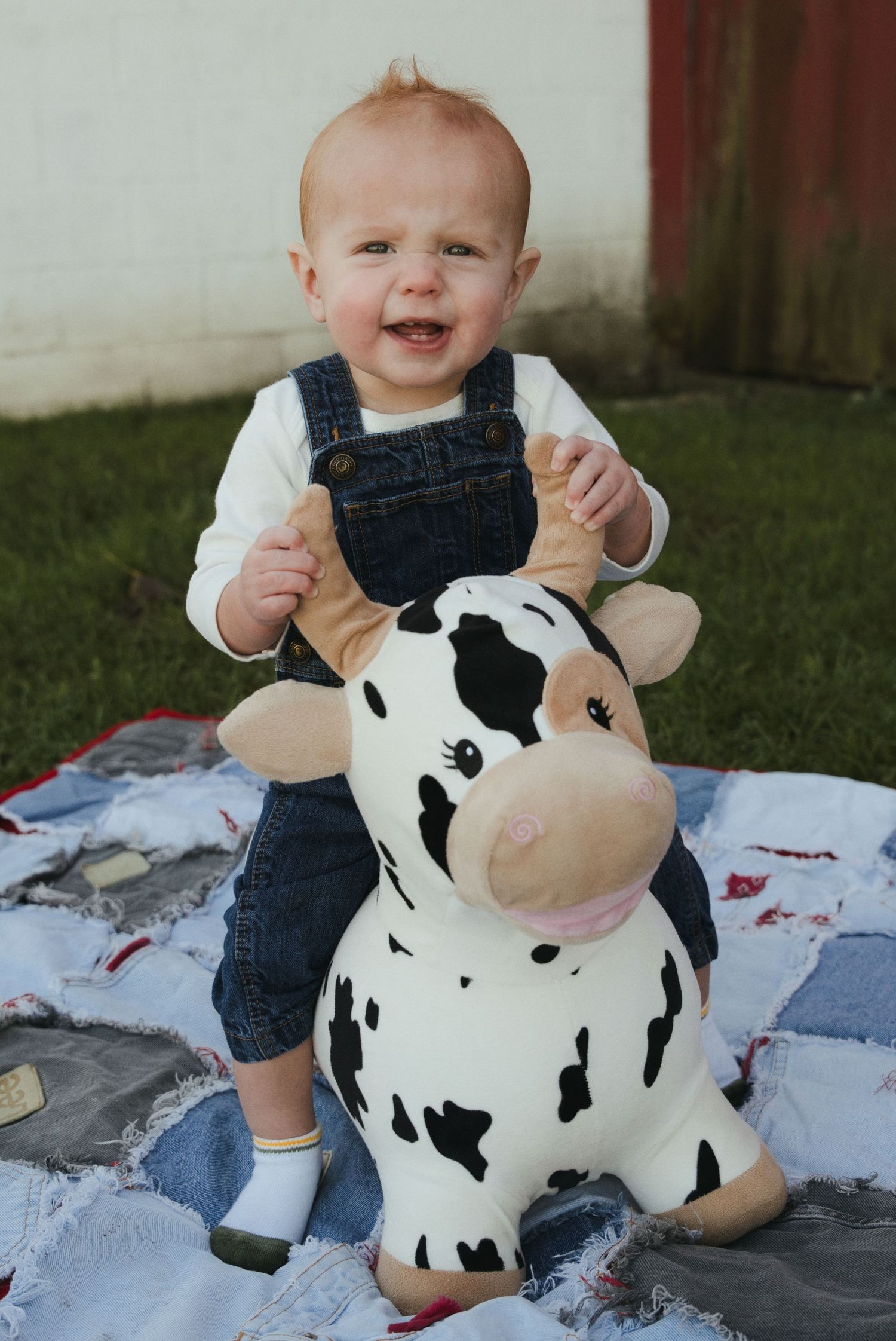 Smiling baby in denim overalls sits on a black and white cow-print bouncy toy on a quilted blanket outdoors on green grass.
