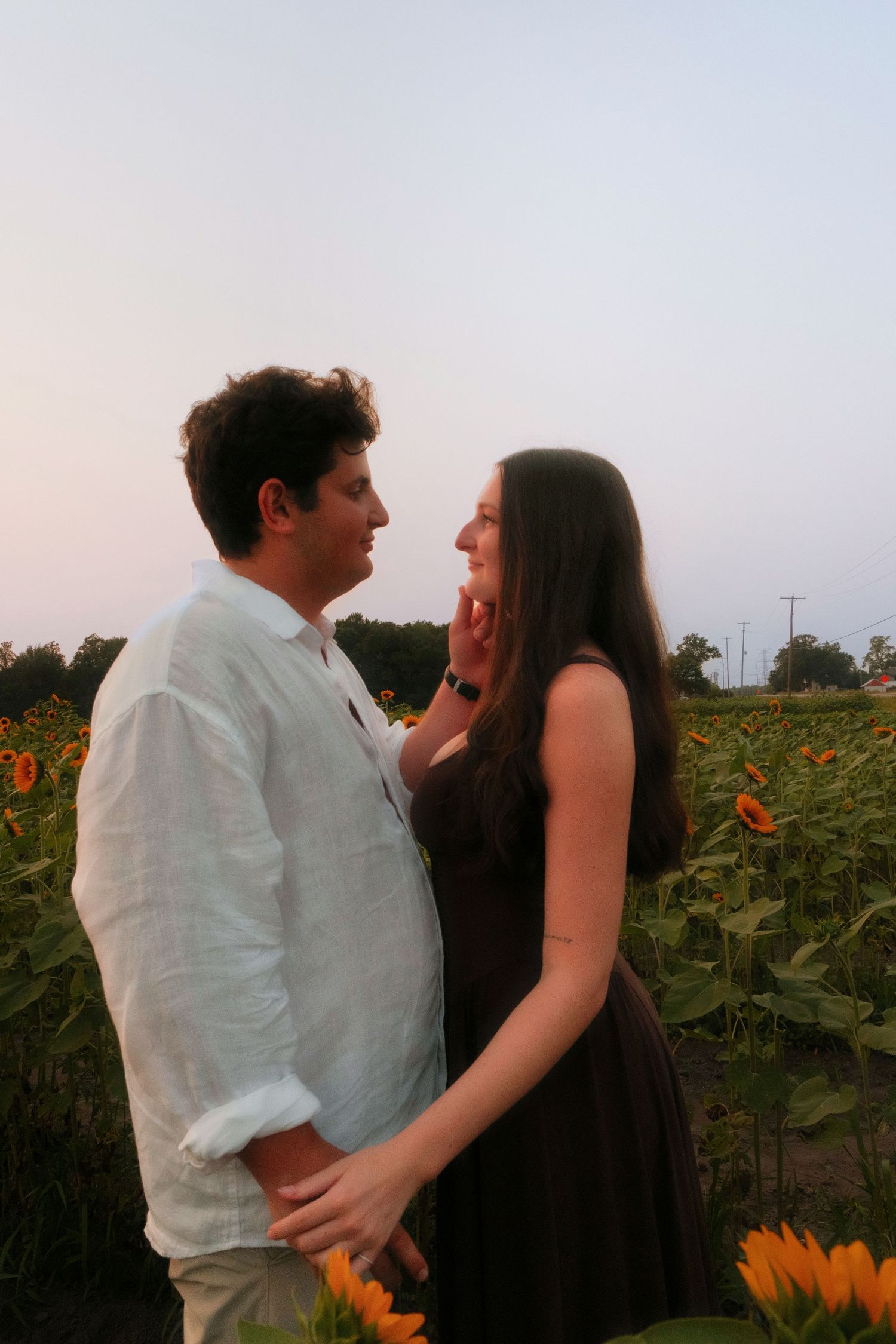Couple sharing a tender moment in a sunflower field at sunset, man gently touching womans face.