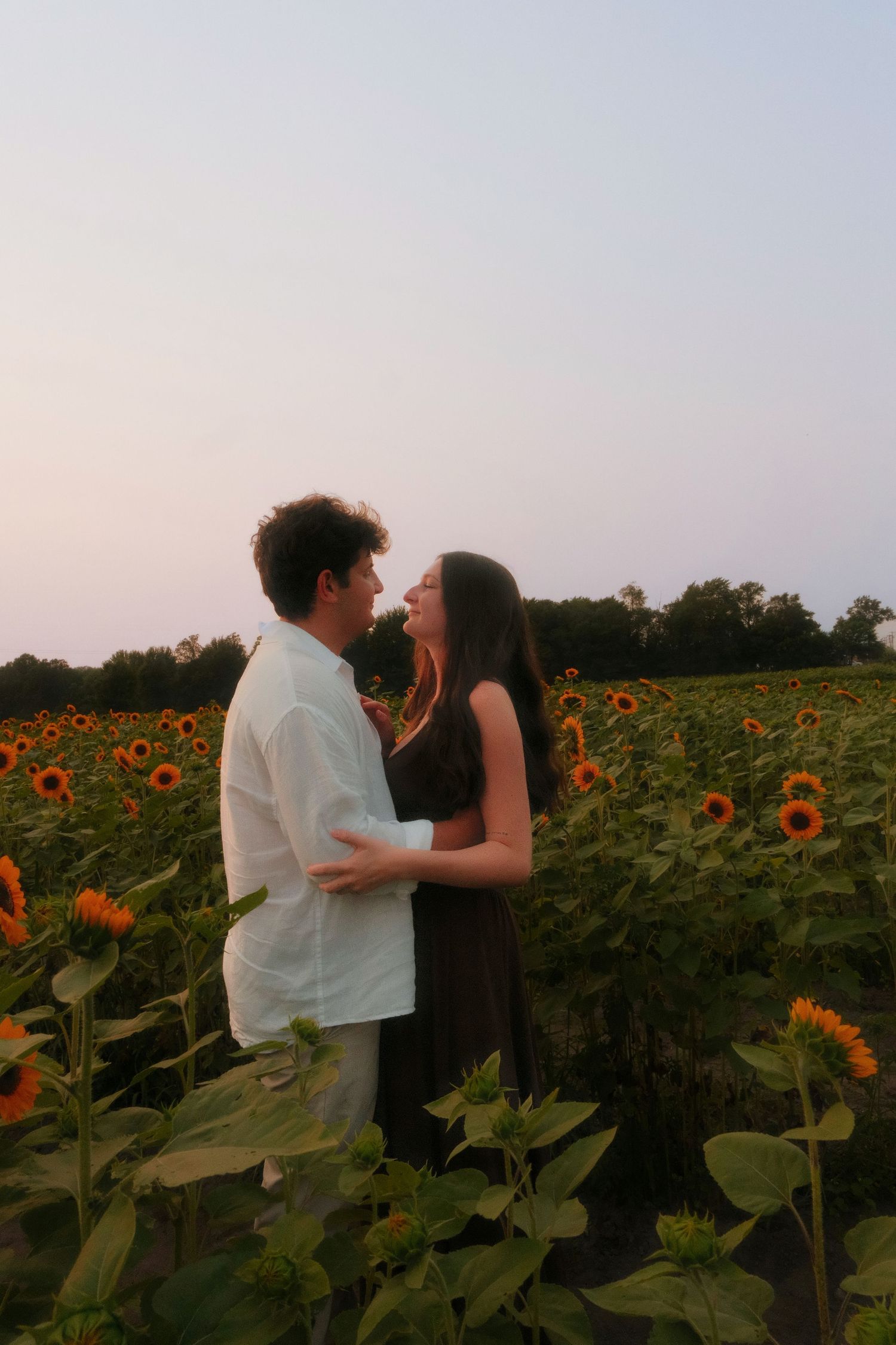 Couple sharing intimate moment about to kiss surrounded by sunflowers at twilight.