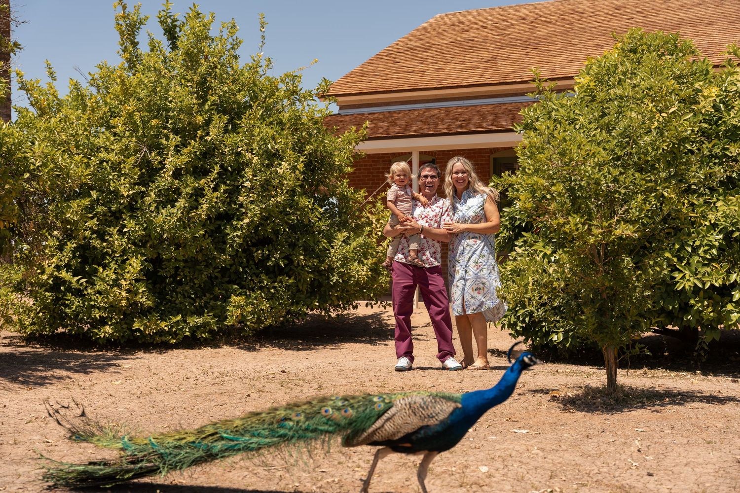 family posing in front of a Peacock