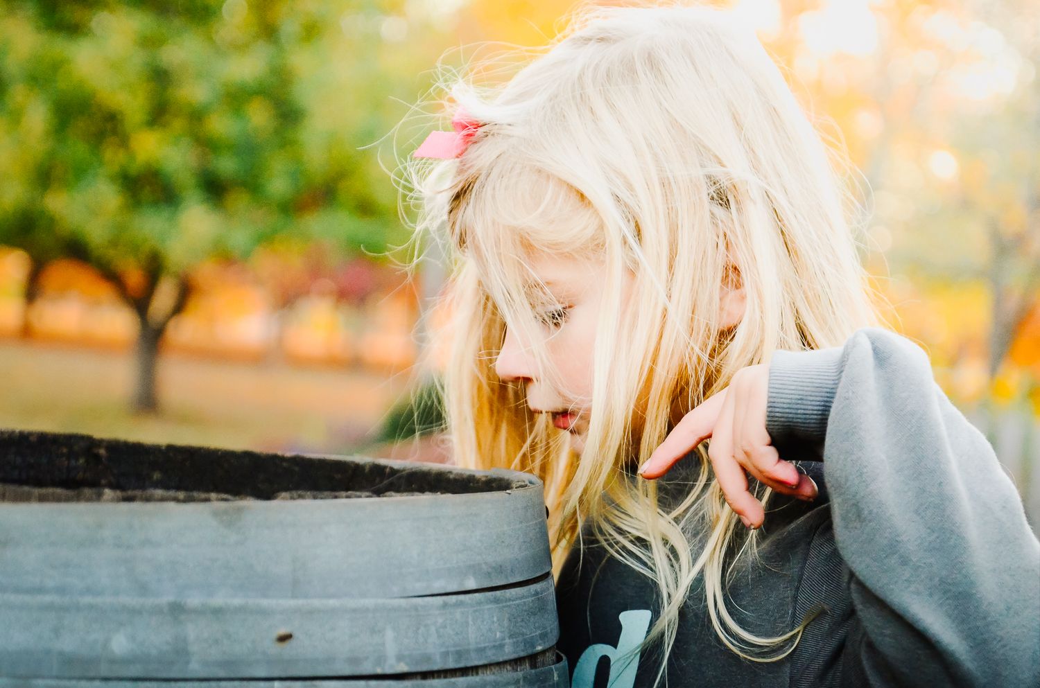 Curious blonde toddler girl peering into a wooden barrel outdoors in autumn setting.