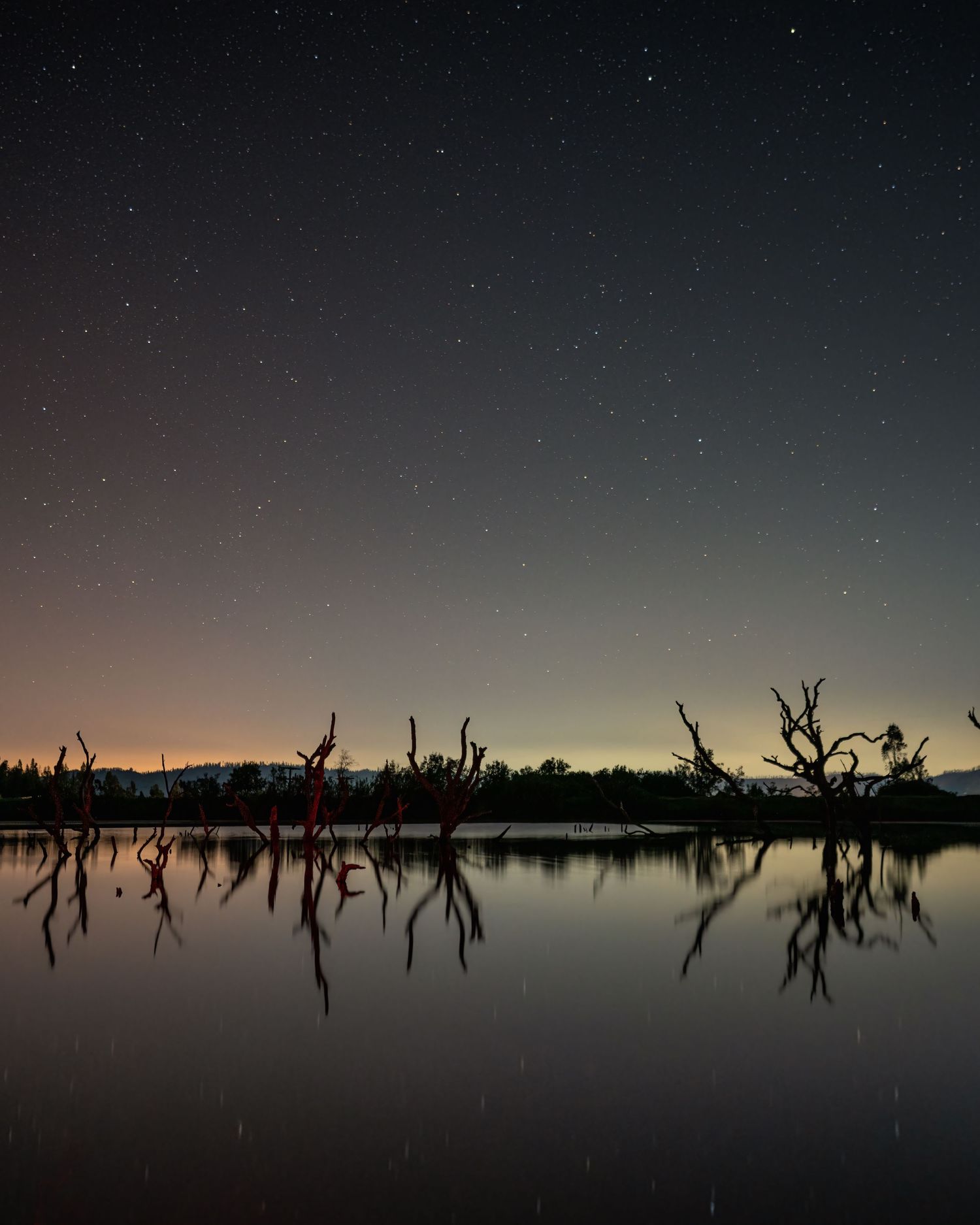 Nocturna Quinta region