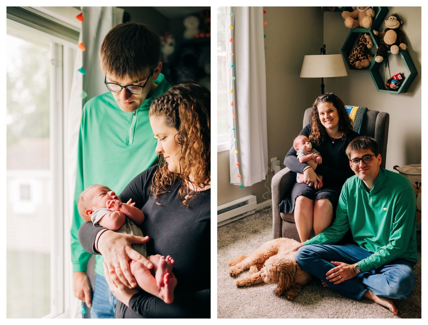 two photos of newborn baby with his parents, second photo also shows their golden doodle