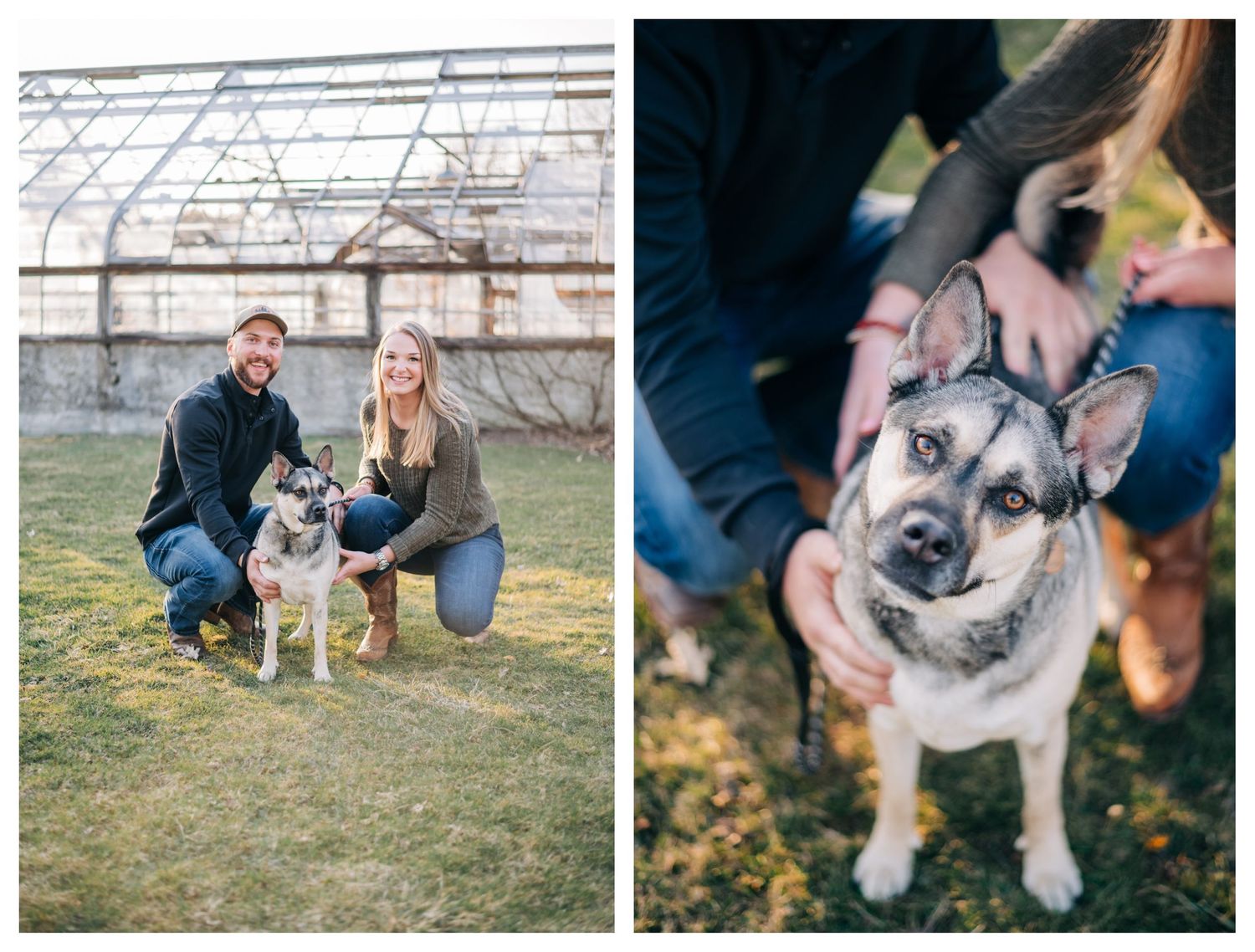 photo collage of engaged couple and their dog, and photo of dog looking at camera