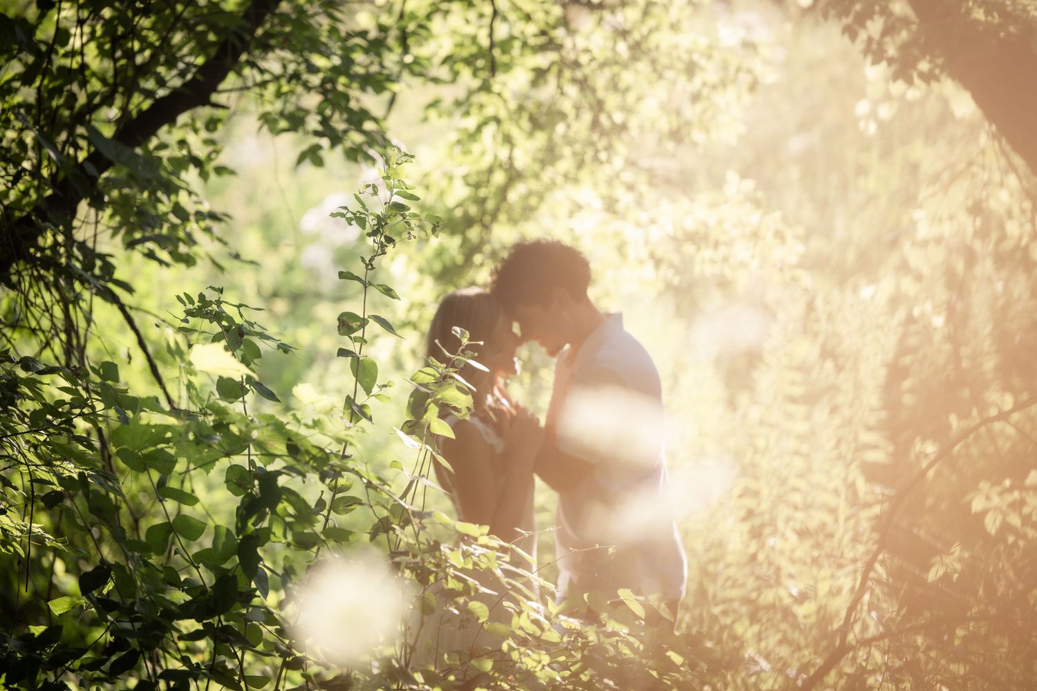 Romantic couple kissing in sunlit forest surrounded by lush green foliage.