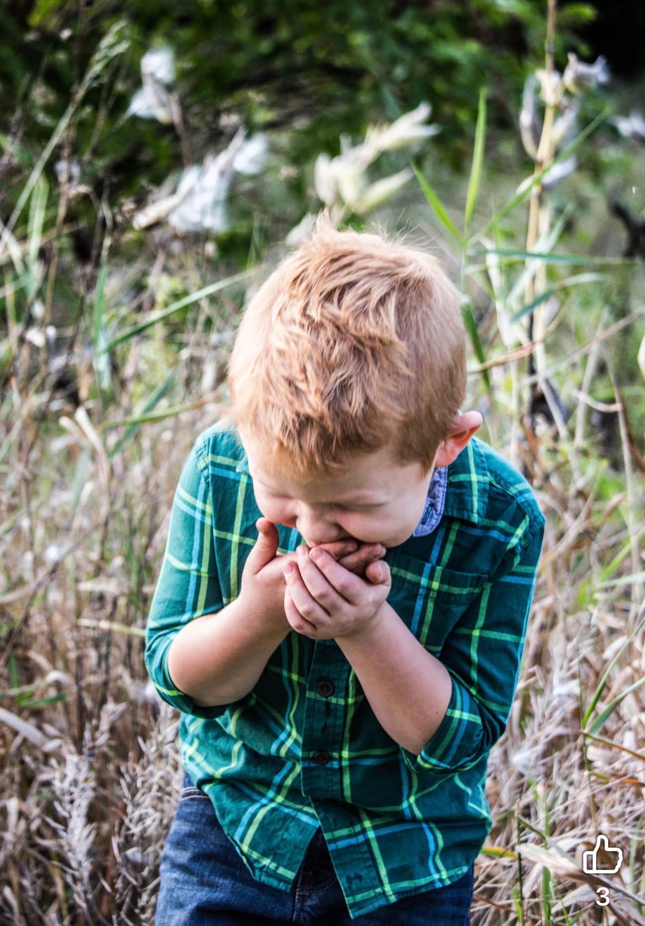 Curious young boy in green plaid shirt looking down at something in his hands in a field.