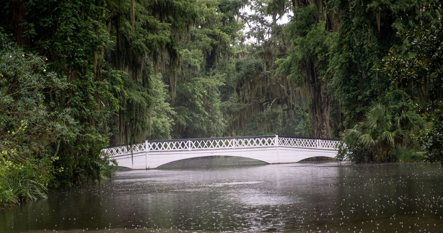 White ornate bridge over flooded waters surrounded by lush green moss-draped trees in a serene garden setting.