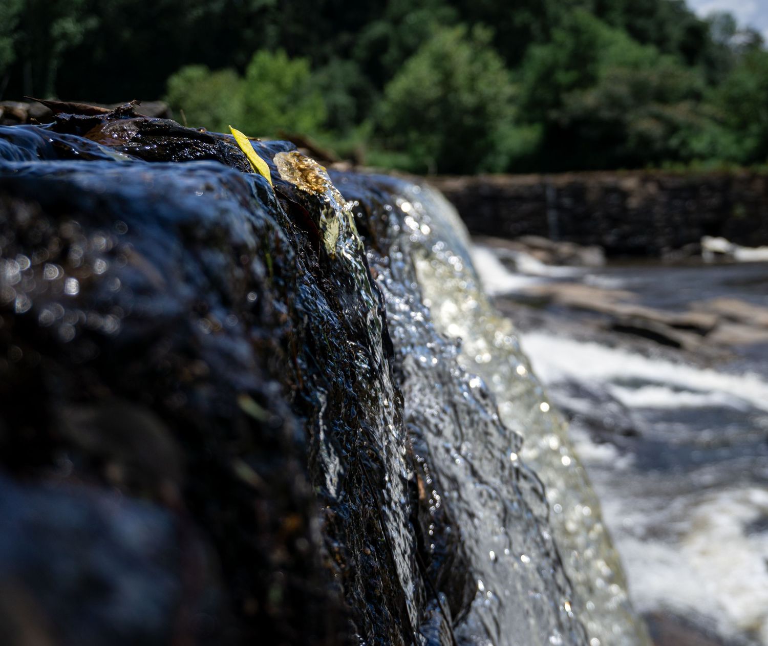 Water cascading over dark wet rocks at a scenic waterfall with green trees in background.